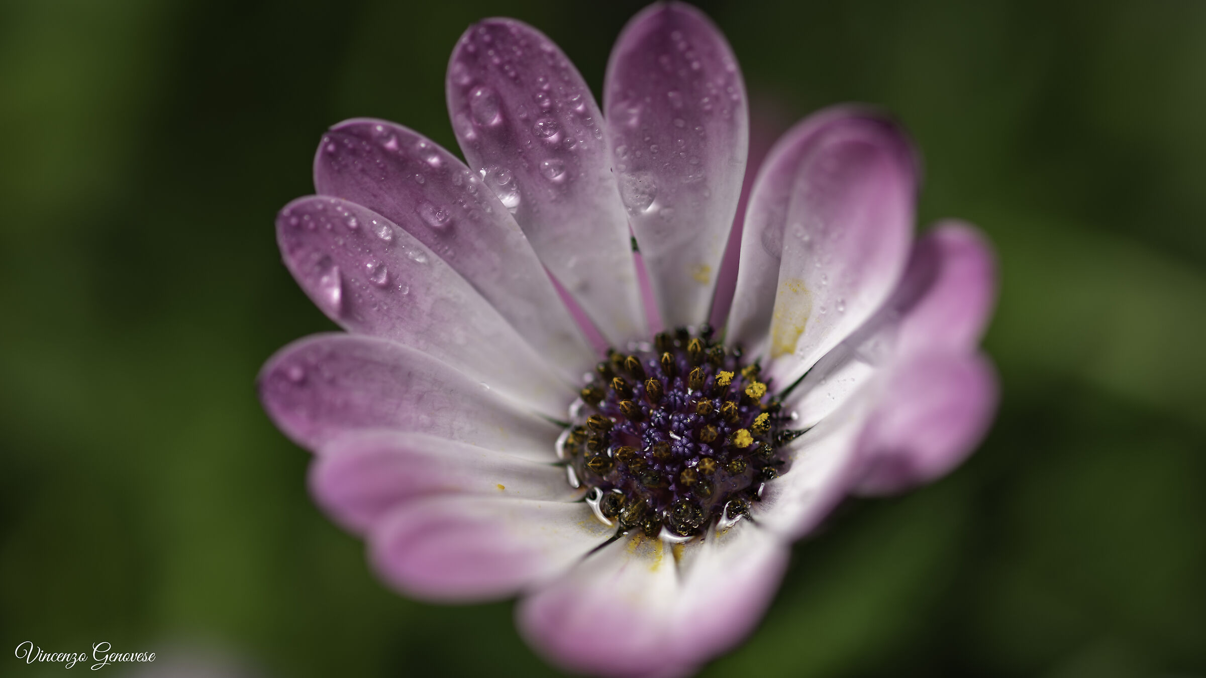 First Test/shot with the d850