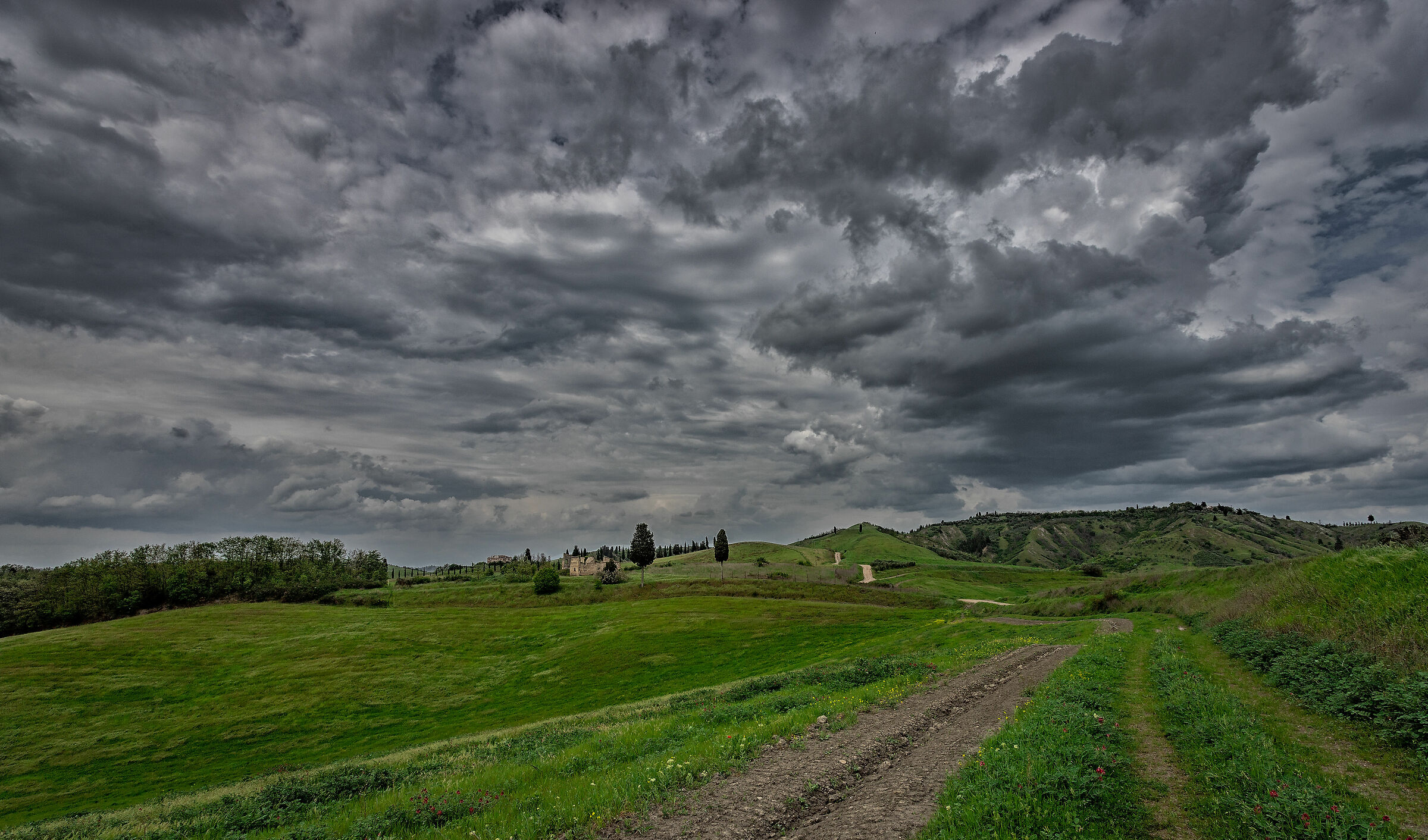 sulla strada di casa