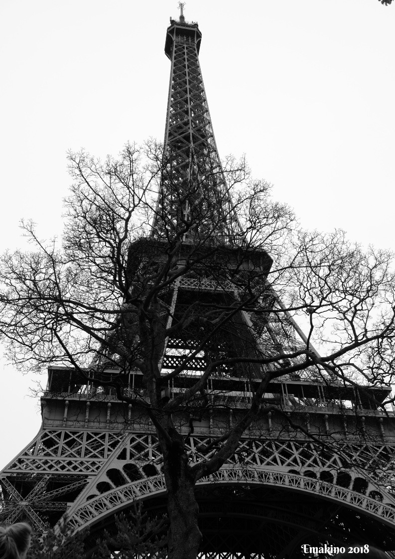 Back a hundred years