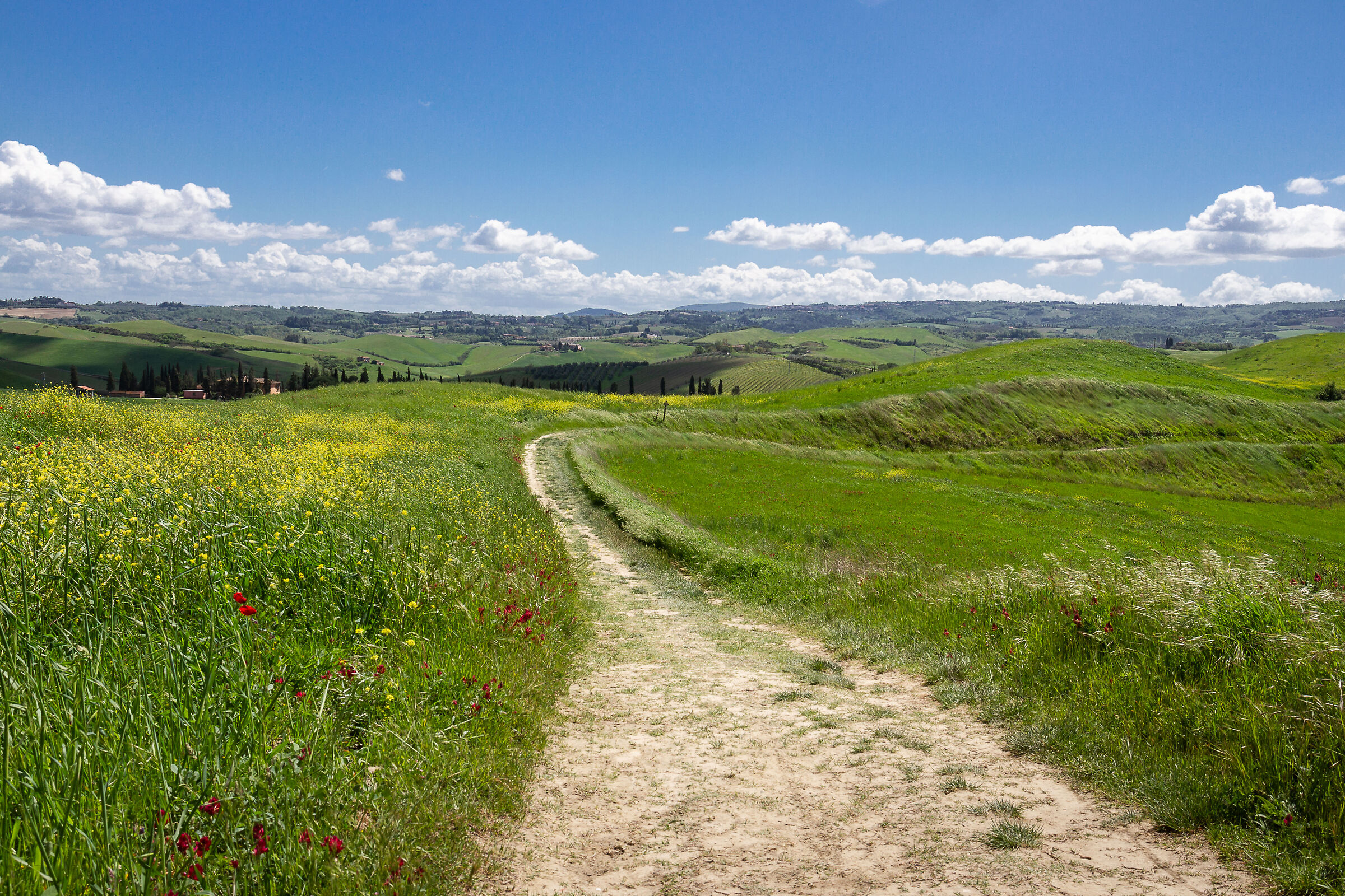 Le gambe vanno da sole