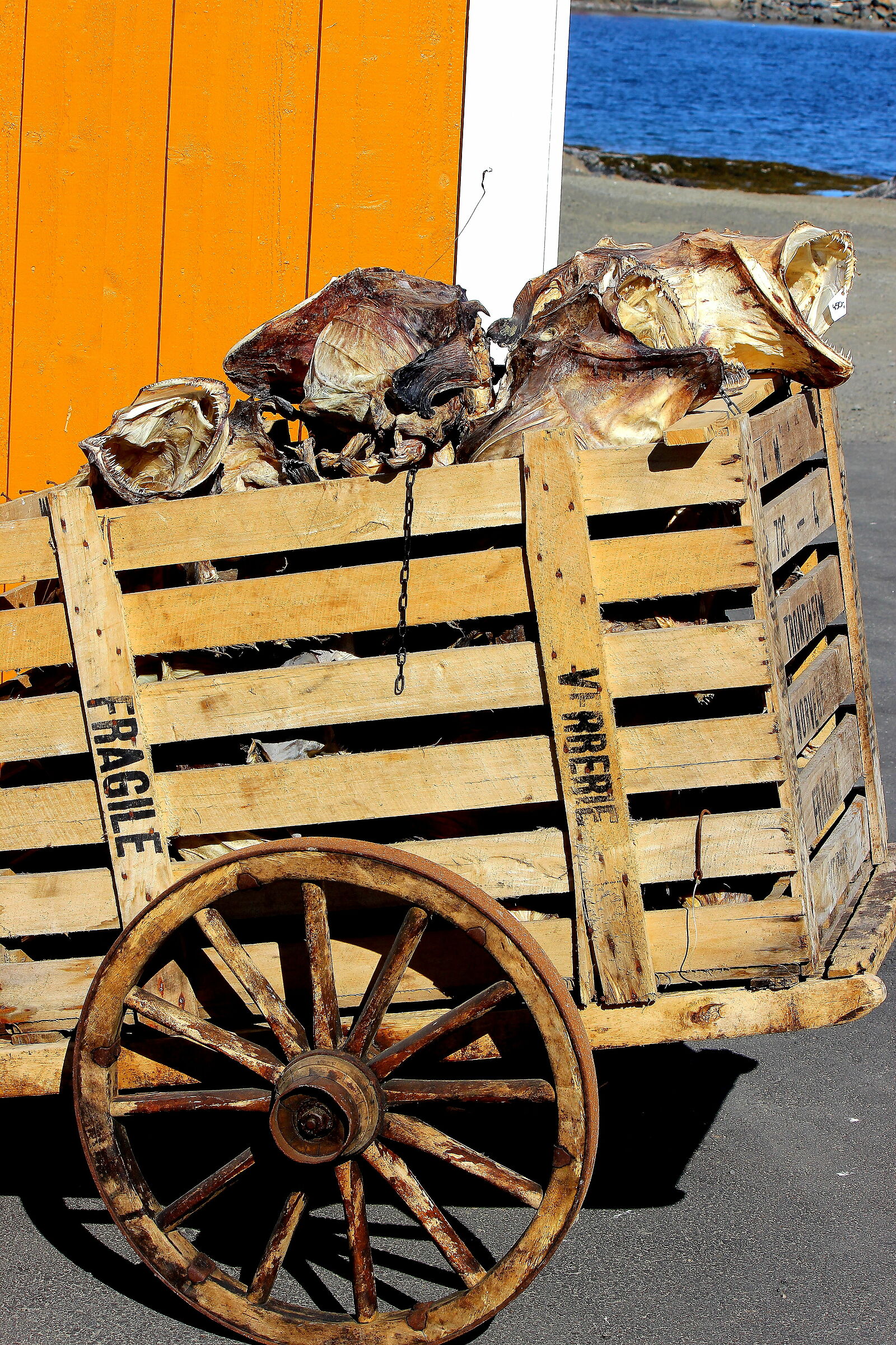 Glimpses of the Fjords