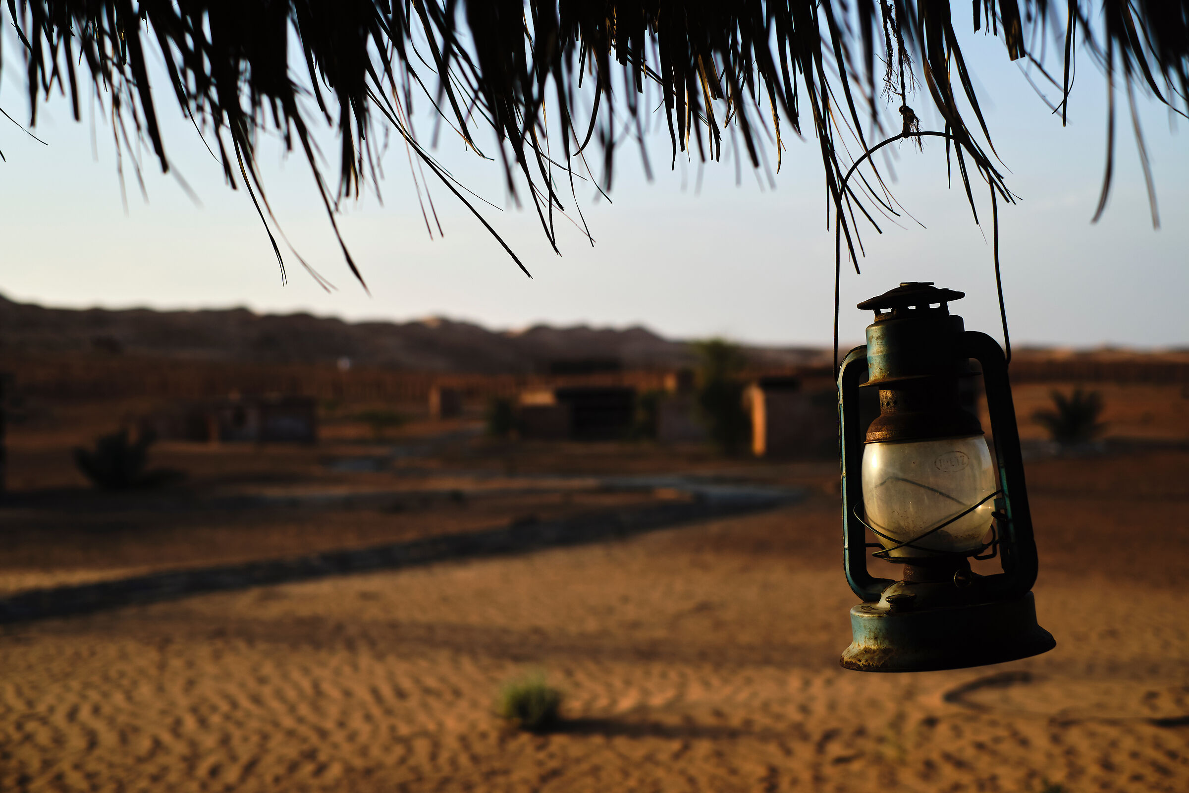 Desert Lamp Oman