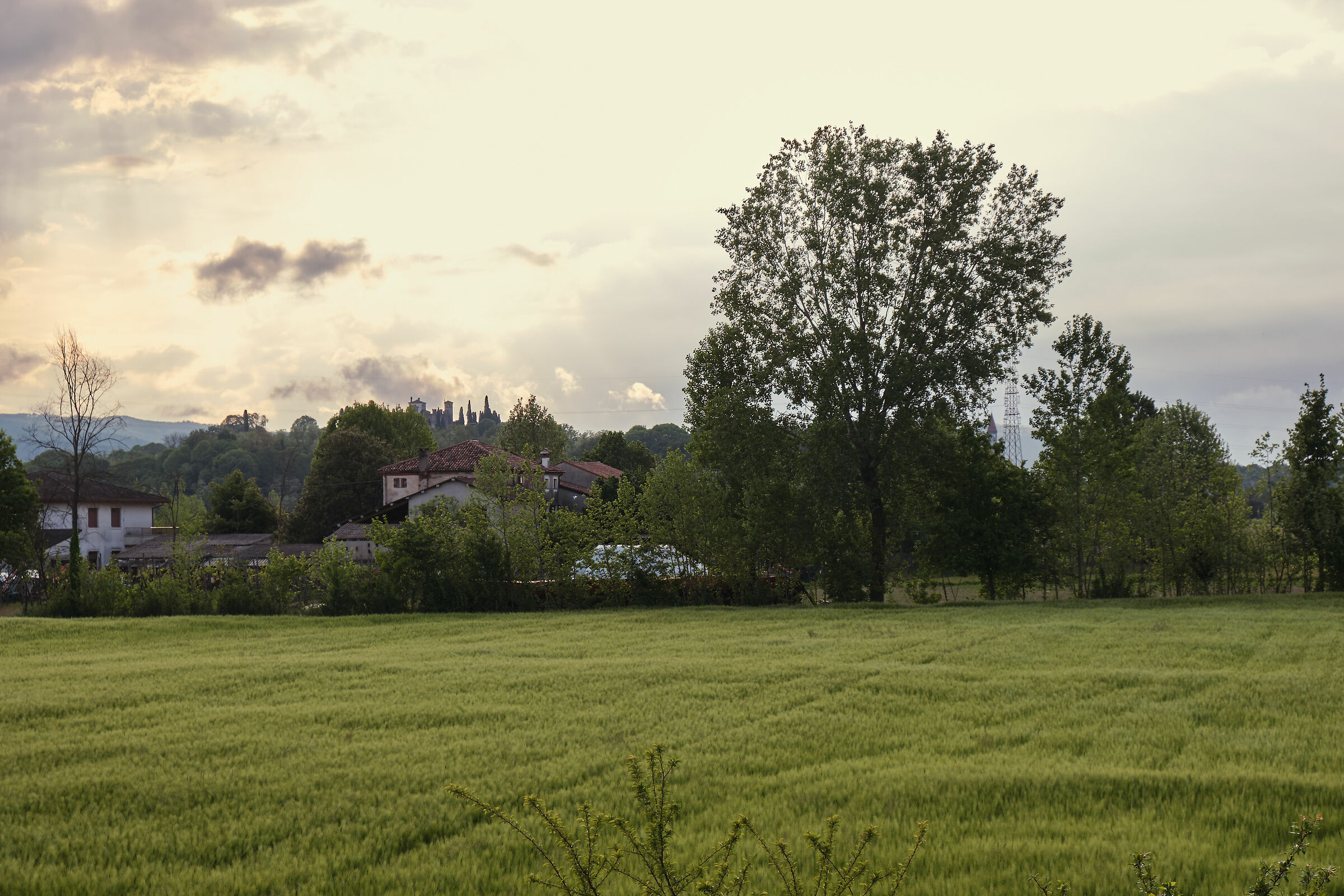 Dietro casa prima del temporale