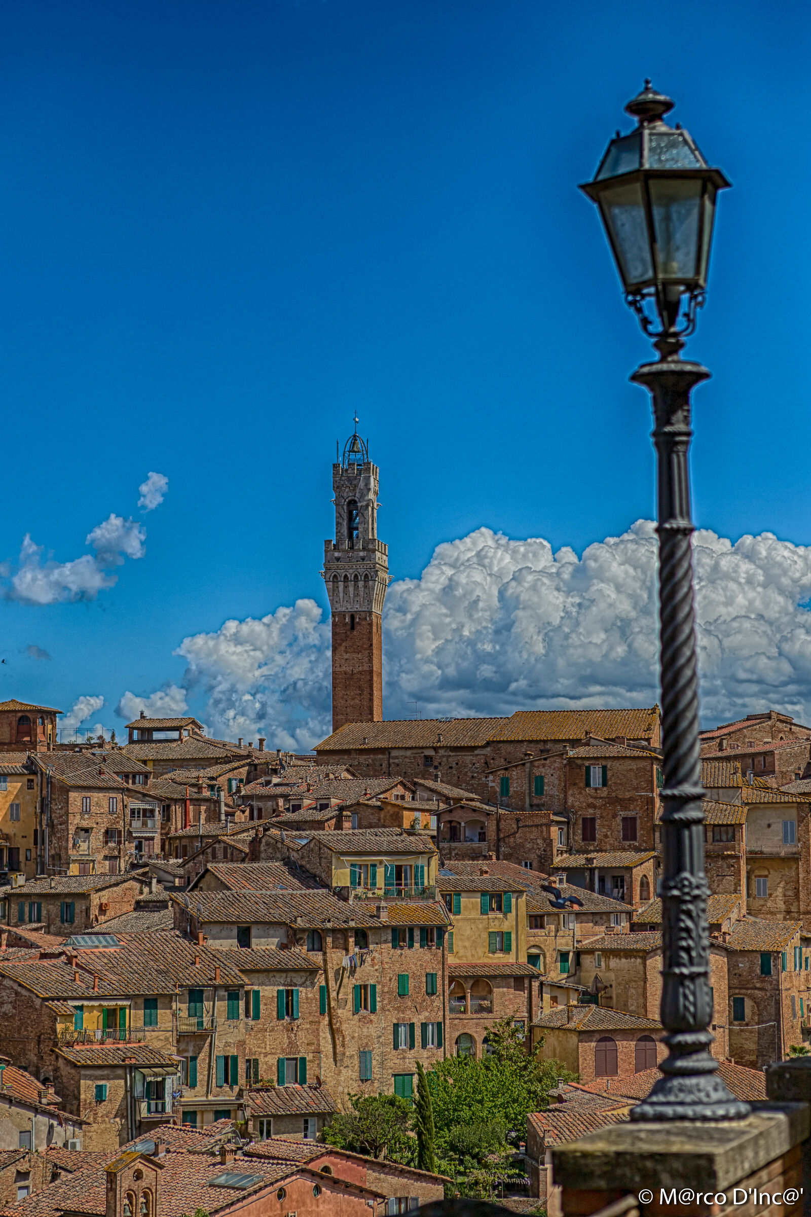 Roofs of Siena