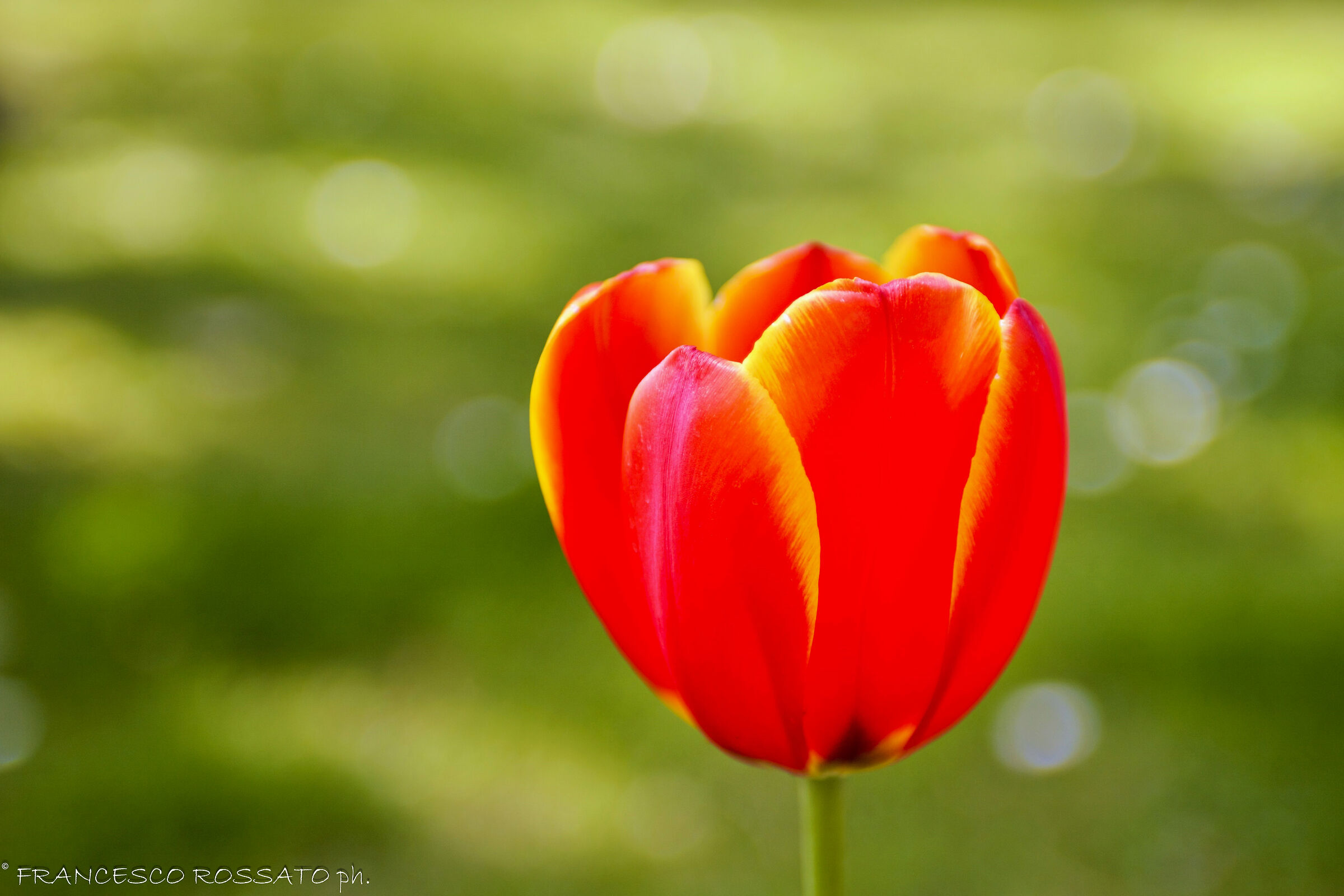 Colori complementari