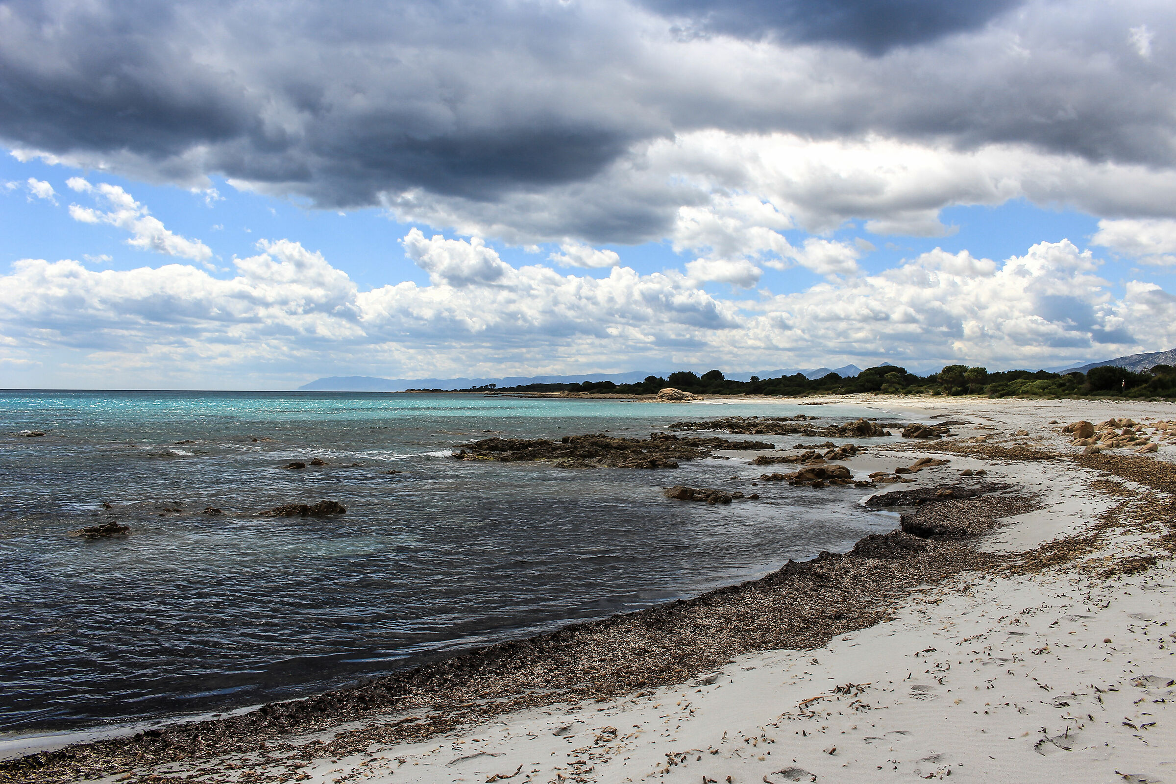 Selvaggia spiaggia - Sardegna