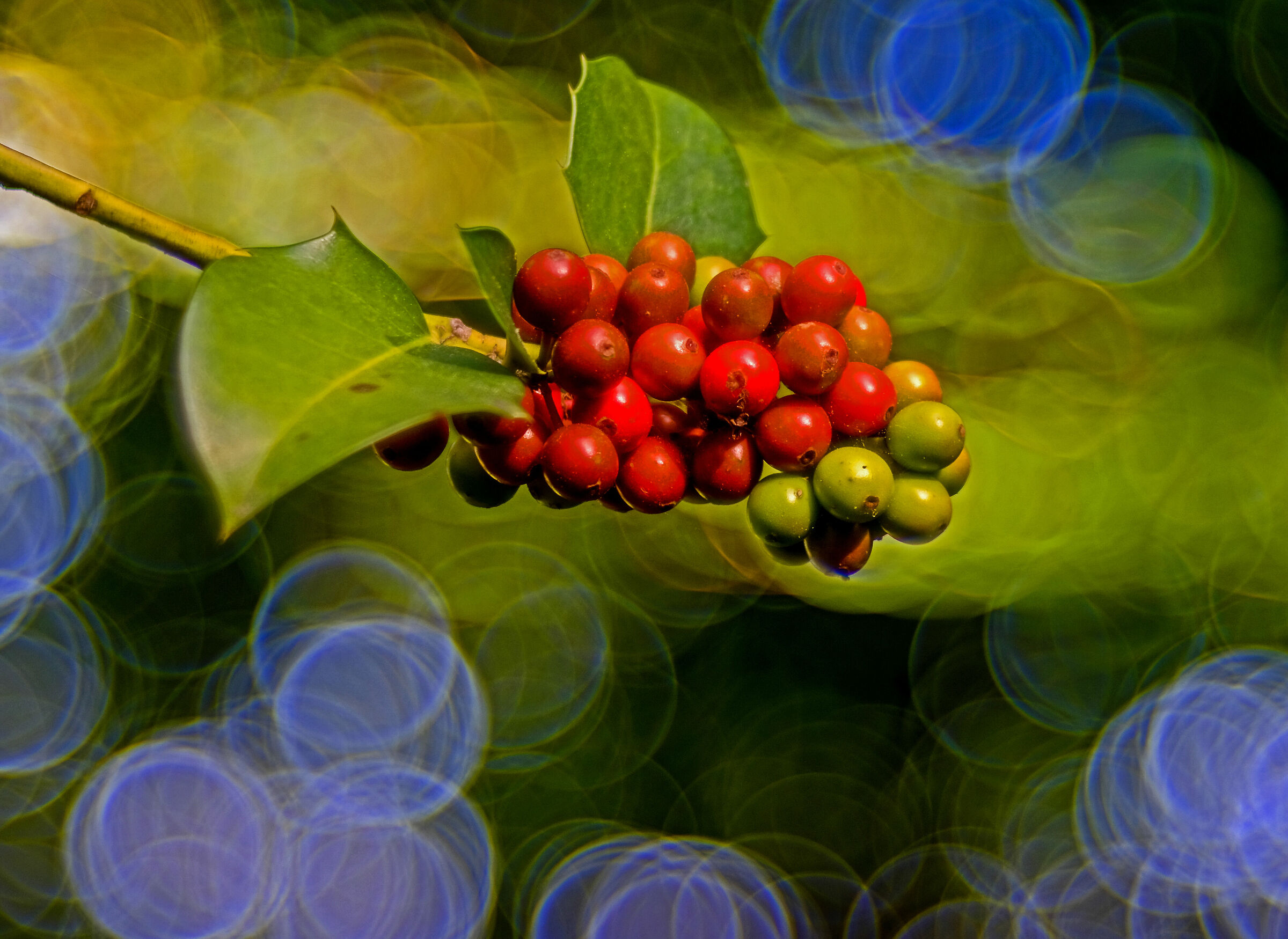 Magicamente Trioplan 4