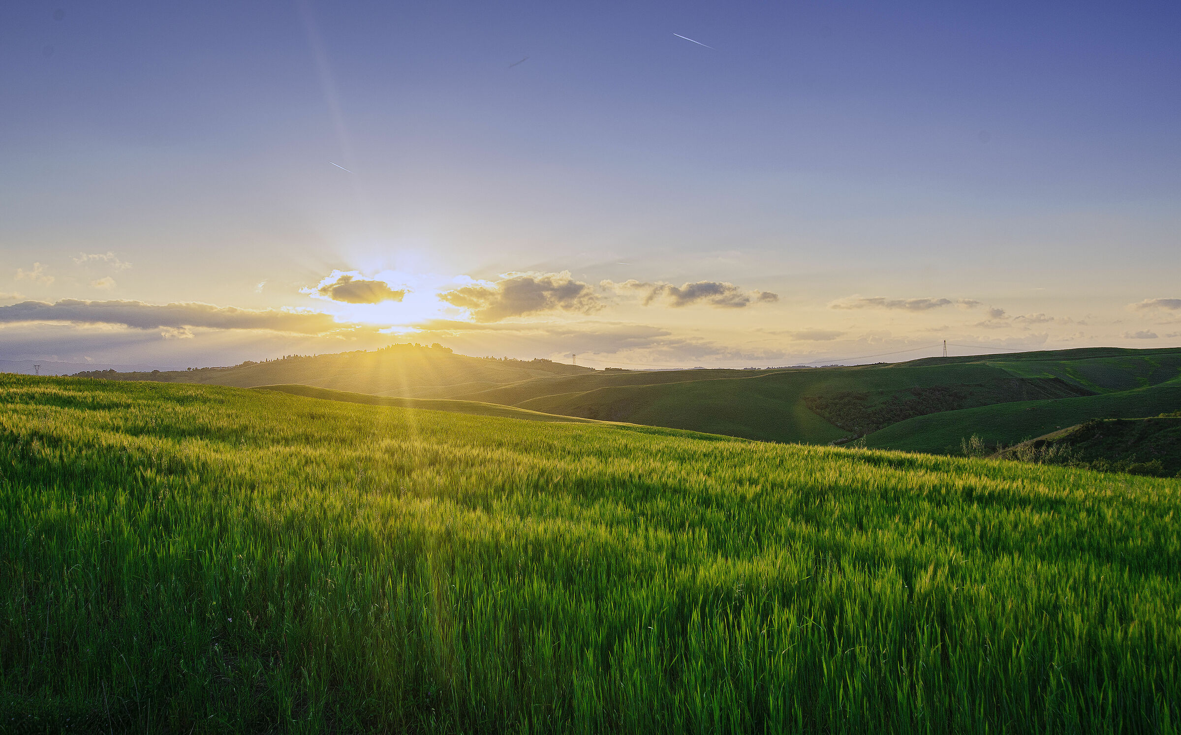 Com'era verde la mia campagna.