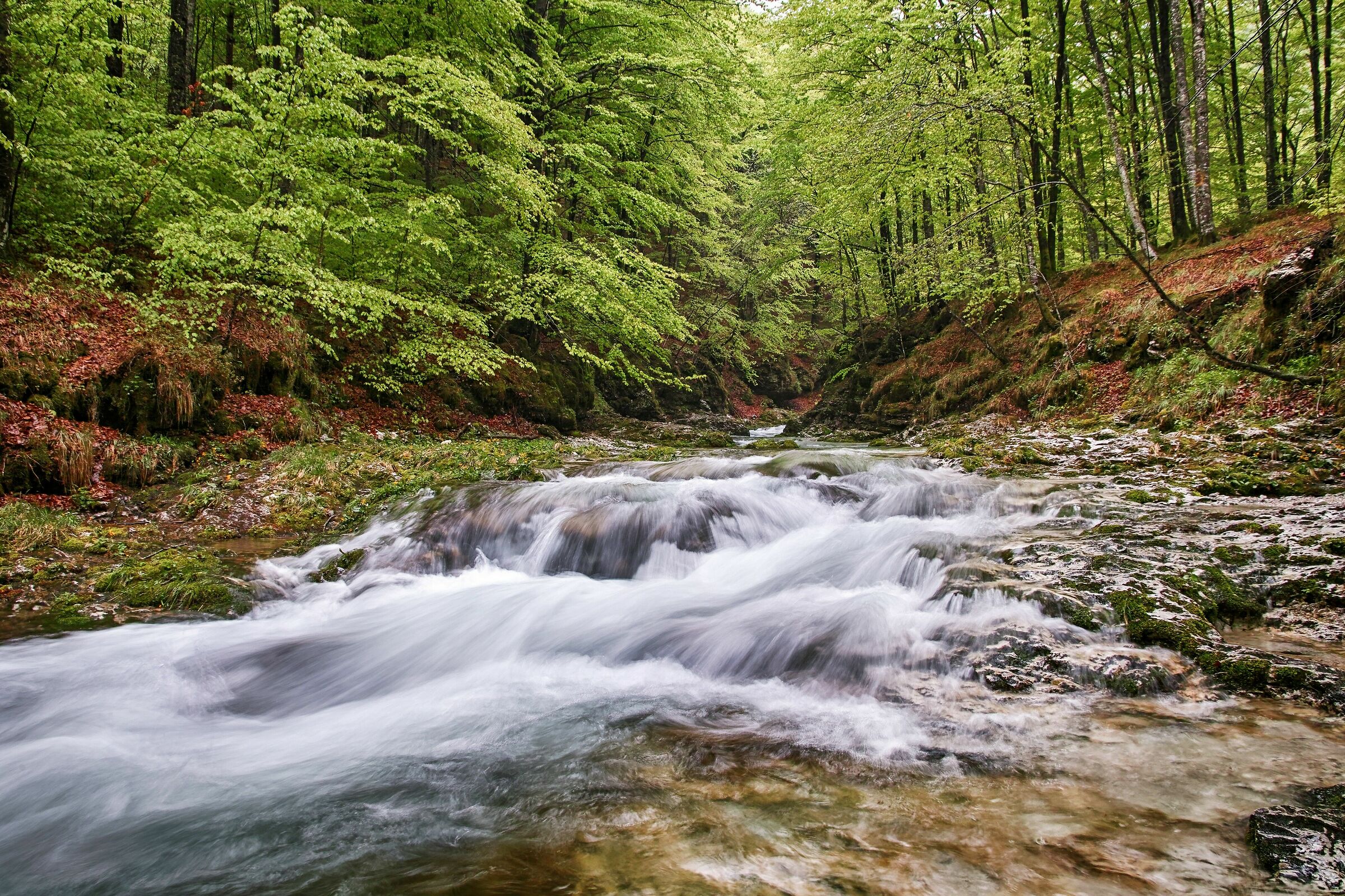 Arzino Waterfalls-Spring