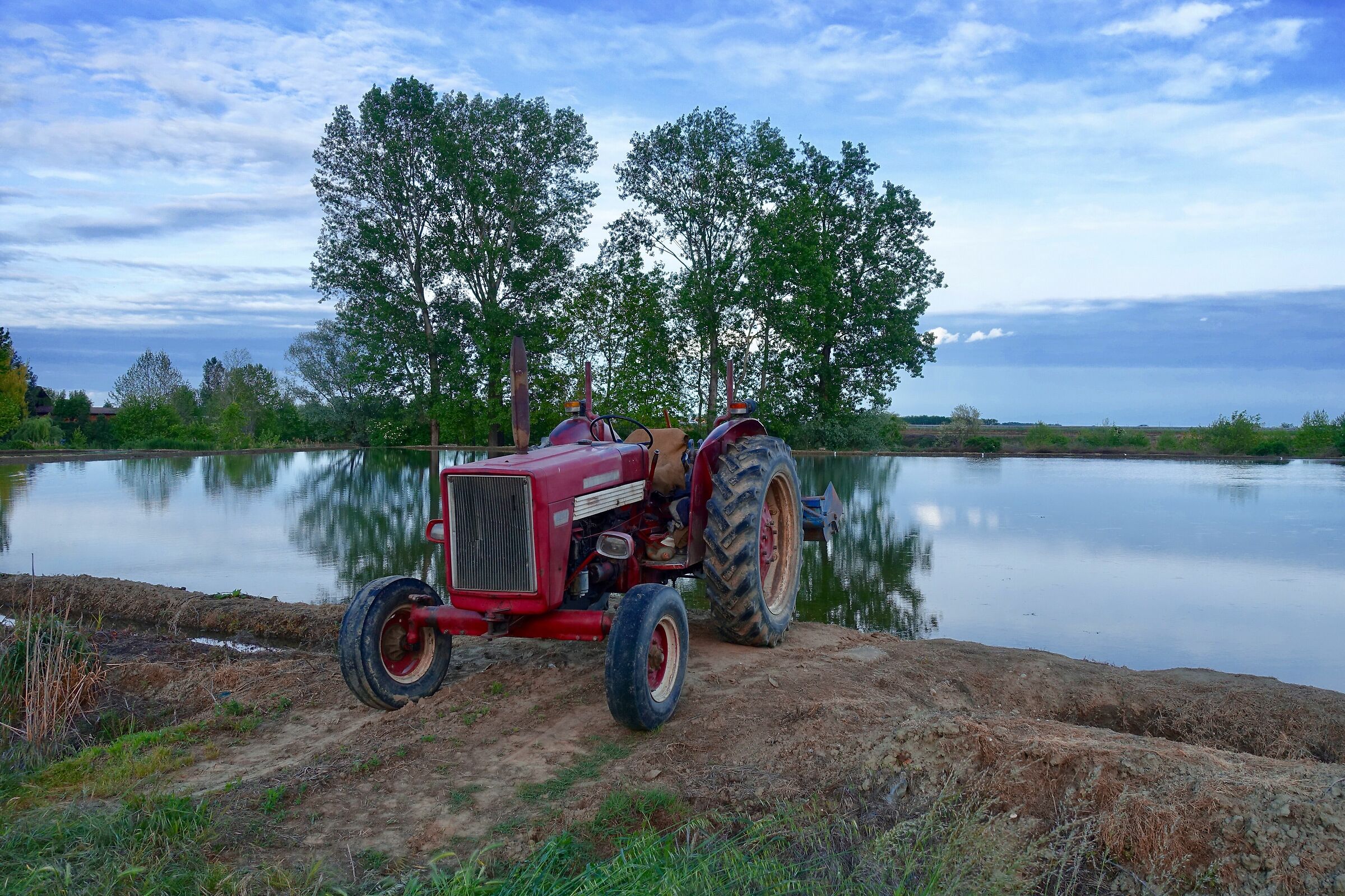 Vercellese rice paddy.