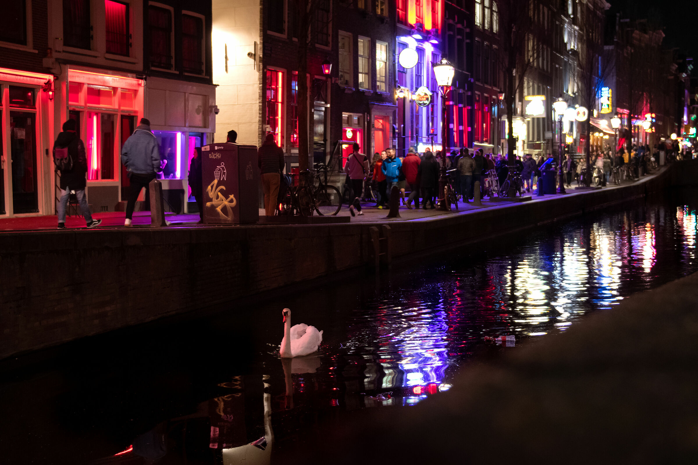 Swan Royal-Red Light District, Amsterdam