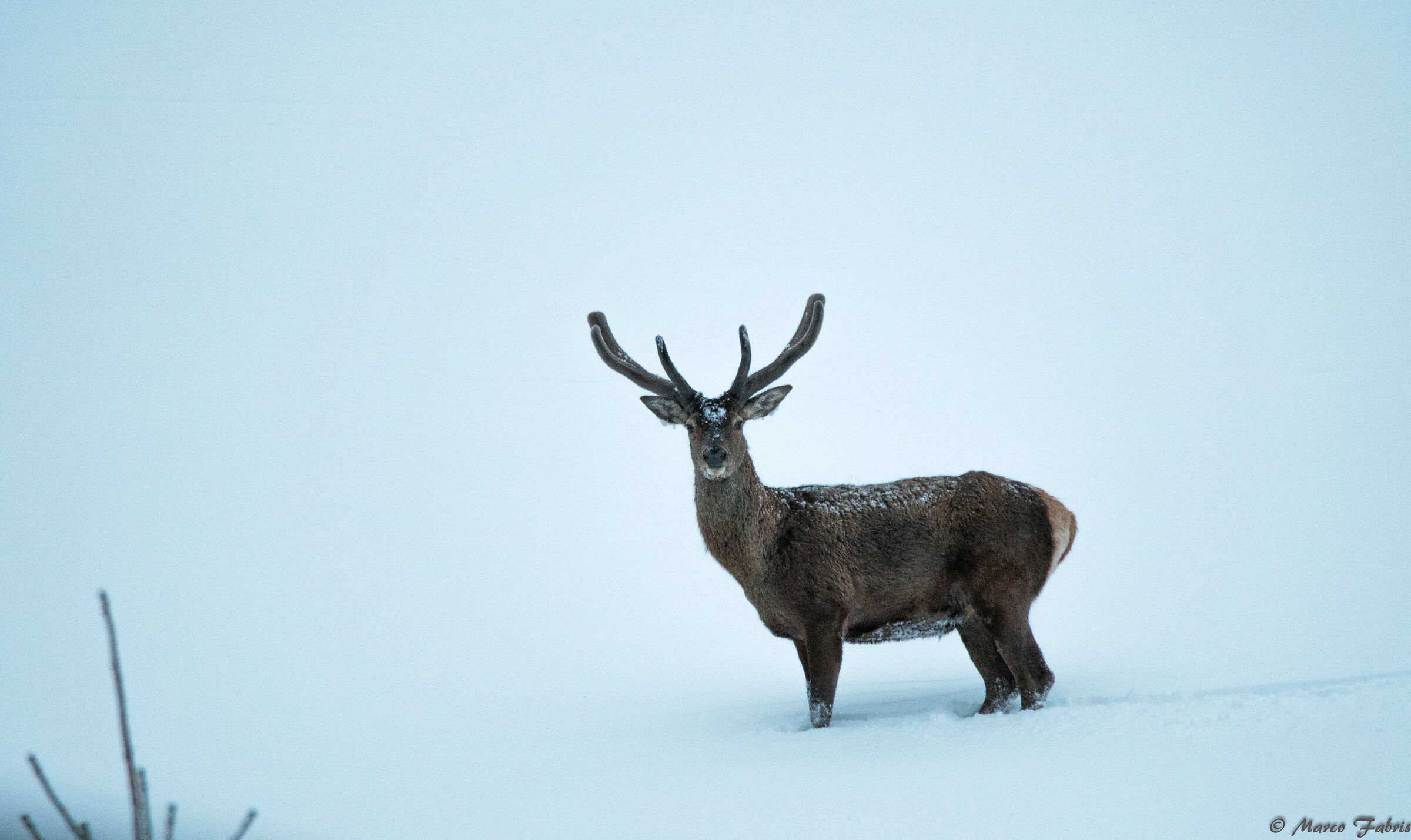 May... Do not lose courage!