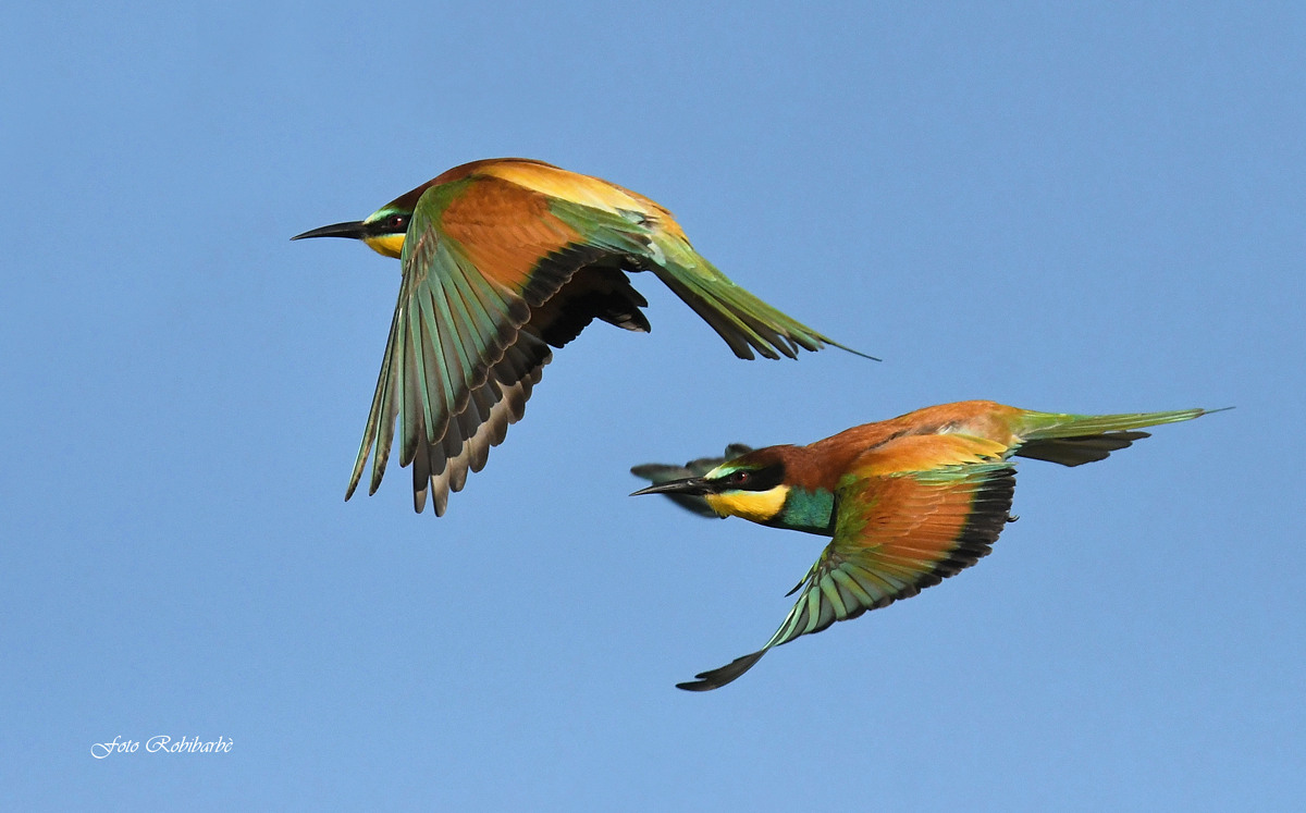 Flight as a couple...