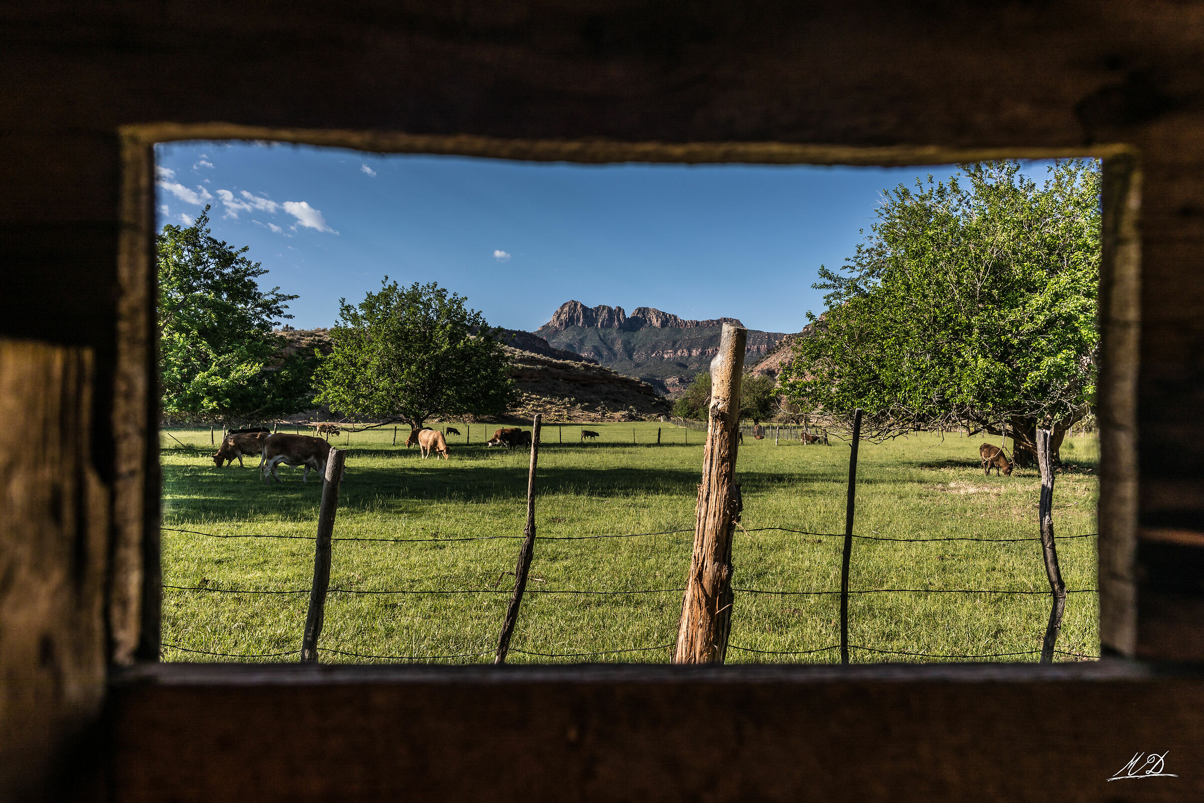 West in a window