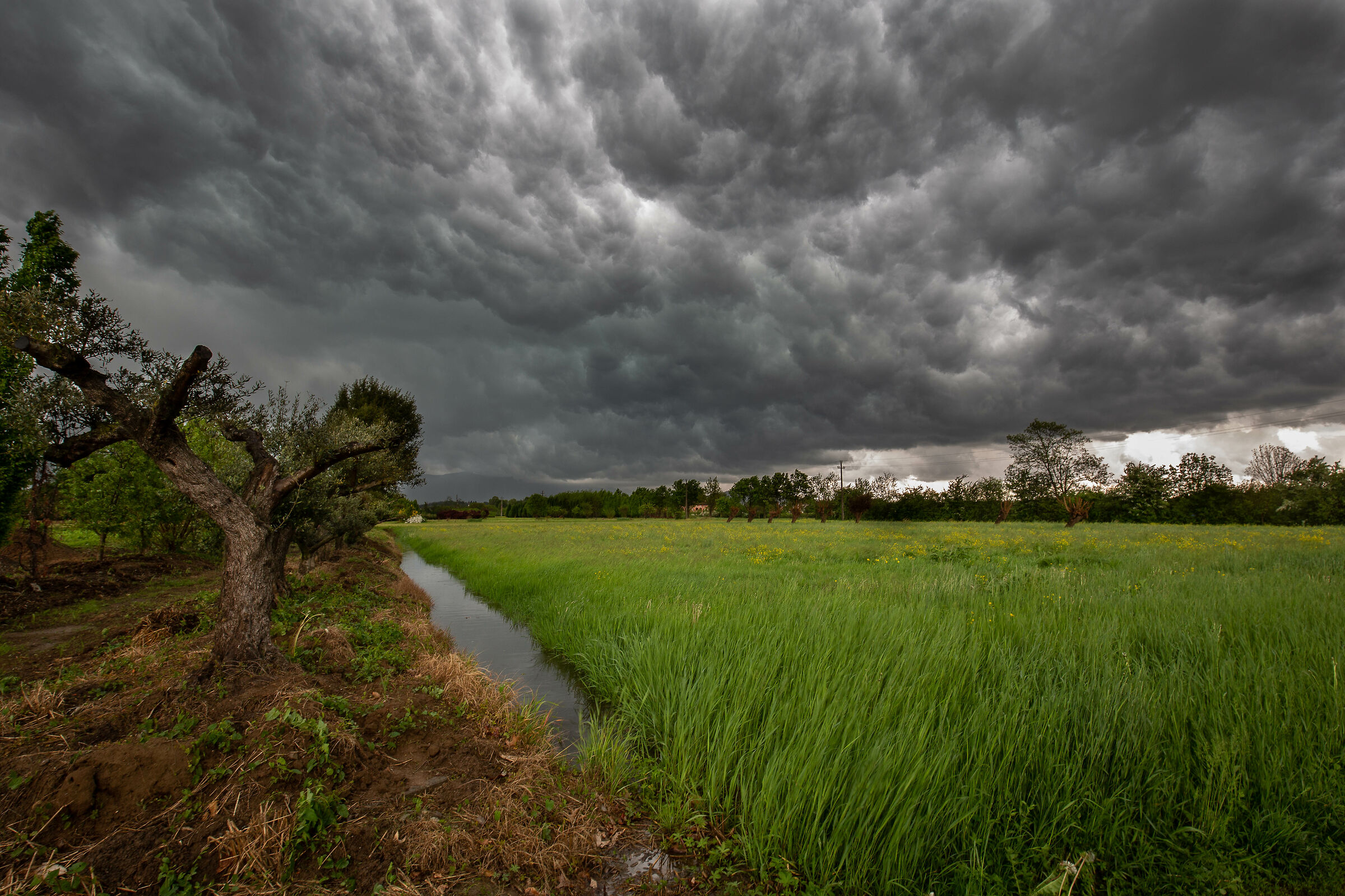 La prima-vera grandinata