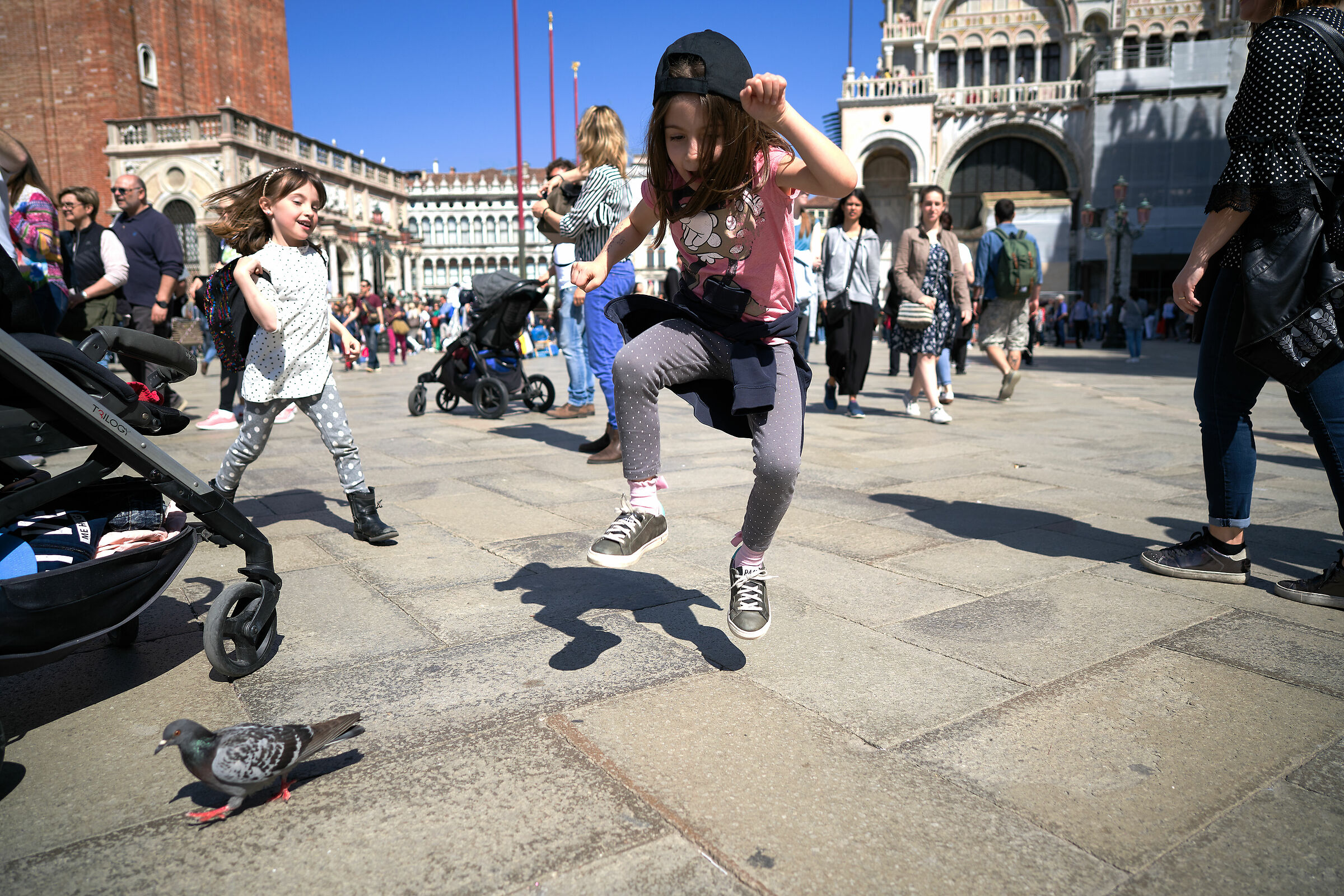 A caccia di piccioni