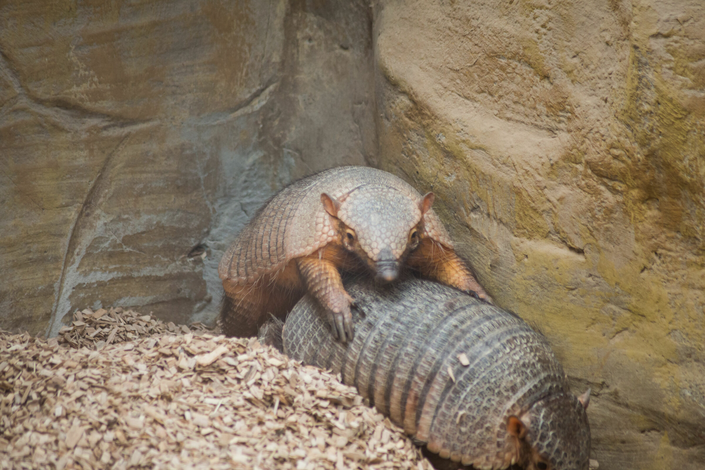 It's not what it looks like.