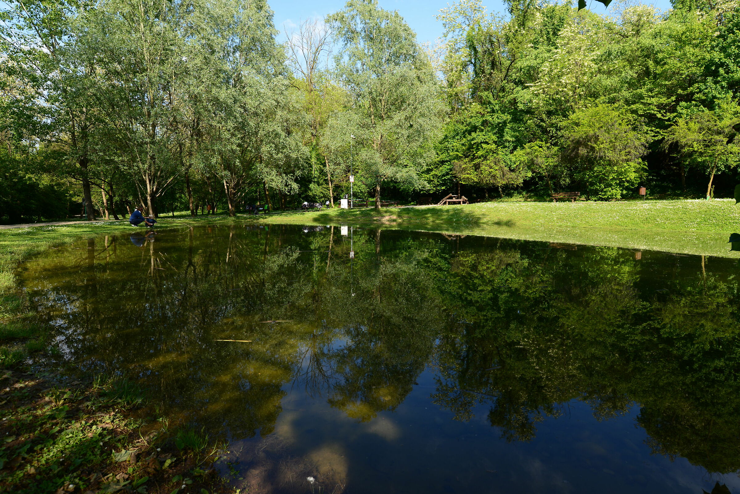 Reflections at the Park