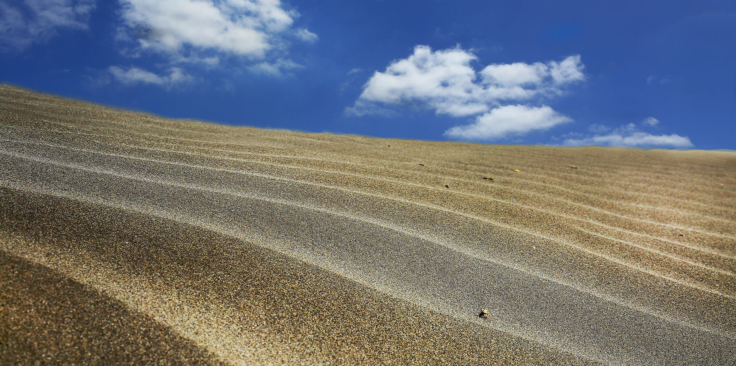 Dune Famara (Spain)