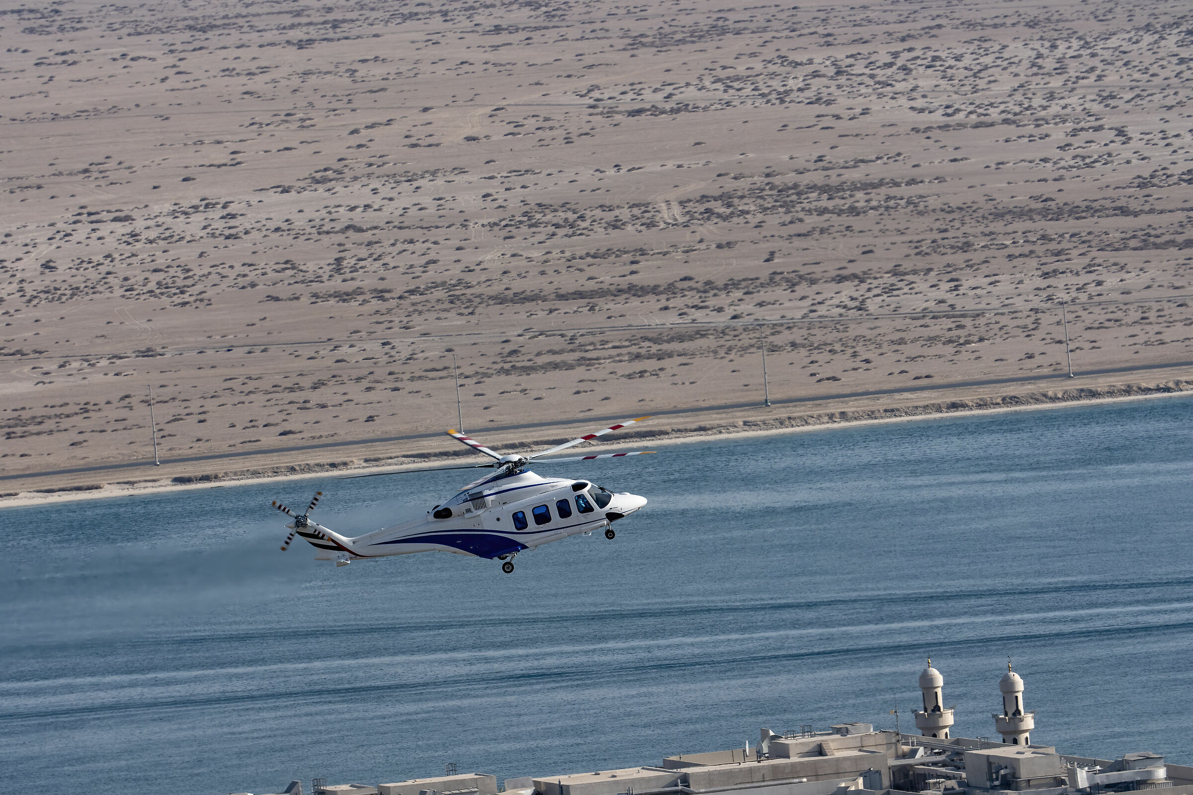 Lumix GH5 con Canon EF500mm f/4 IS L II + 2x III