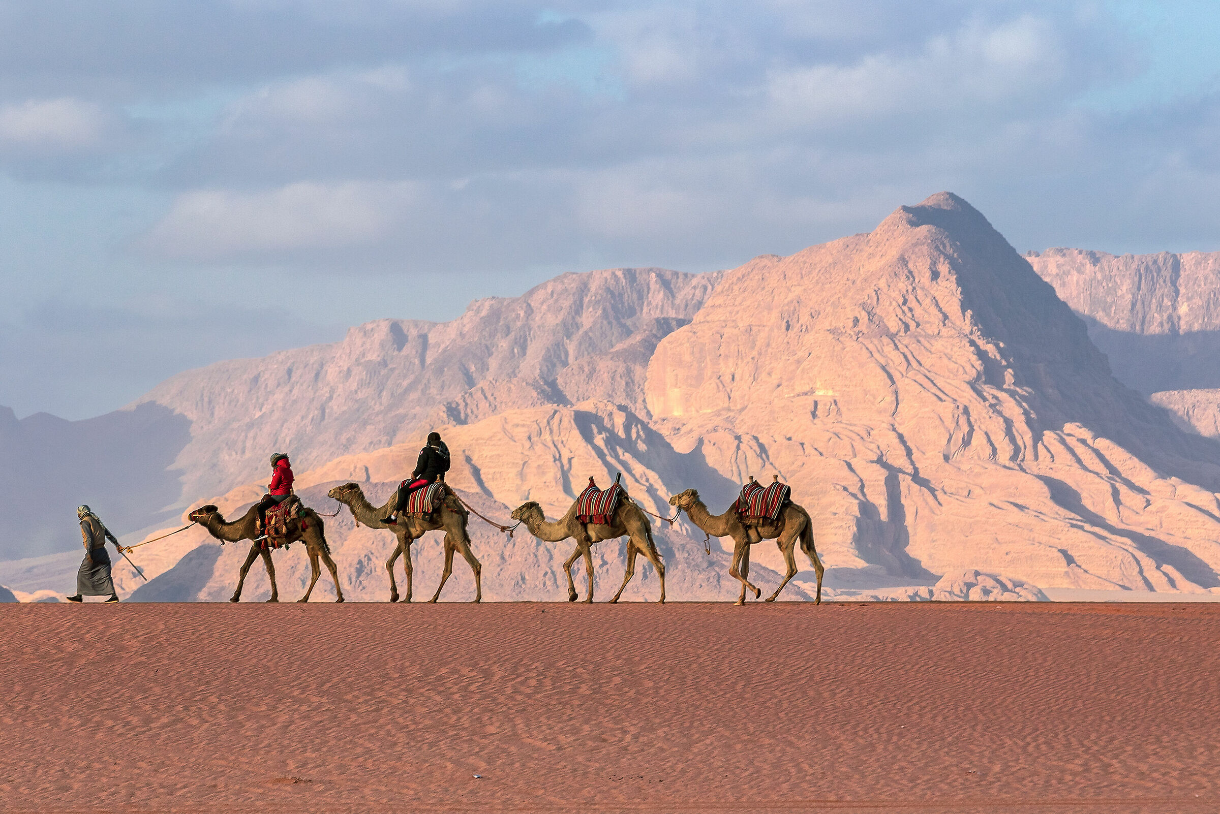 Camel trip