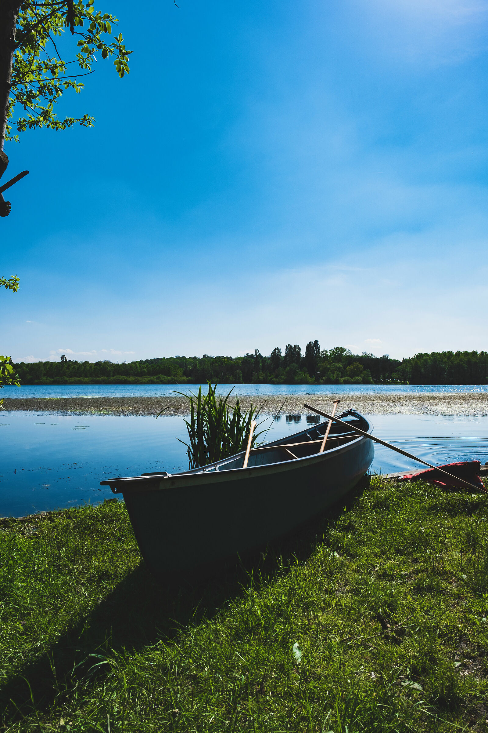 Canoa sul lago