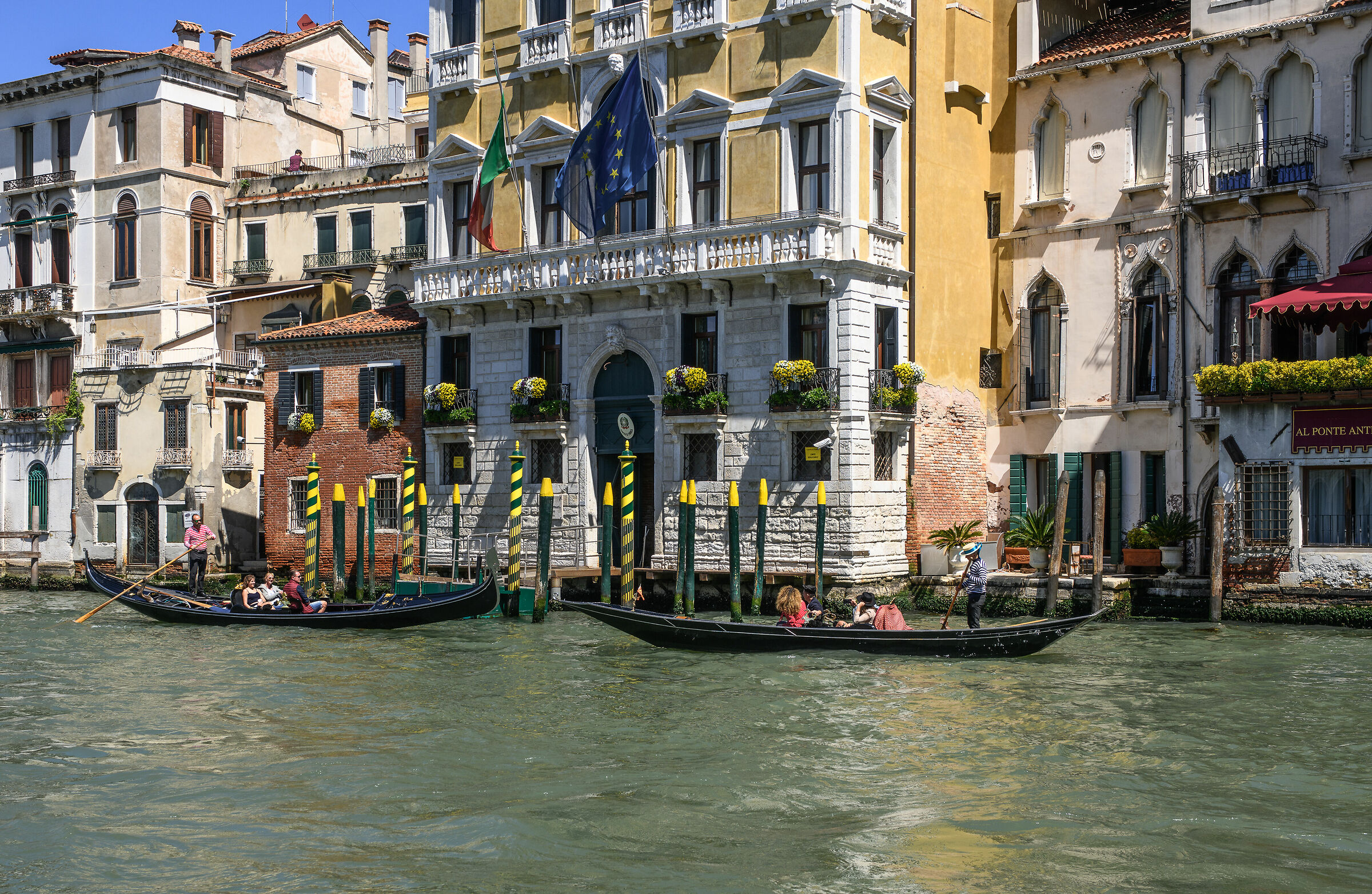 Also in Venice conquer the yellow/green!!