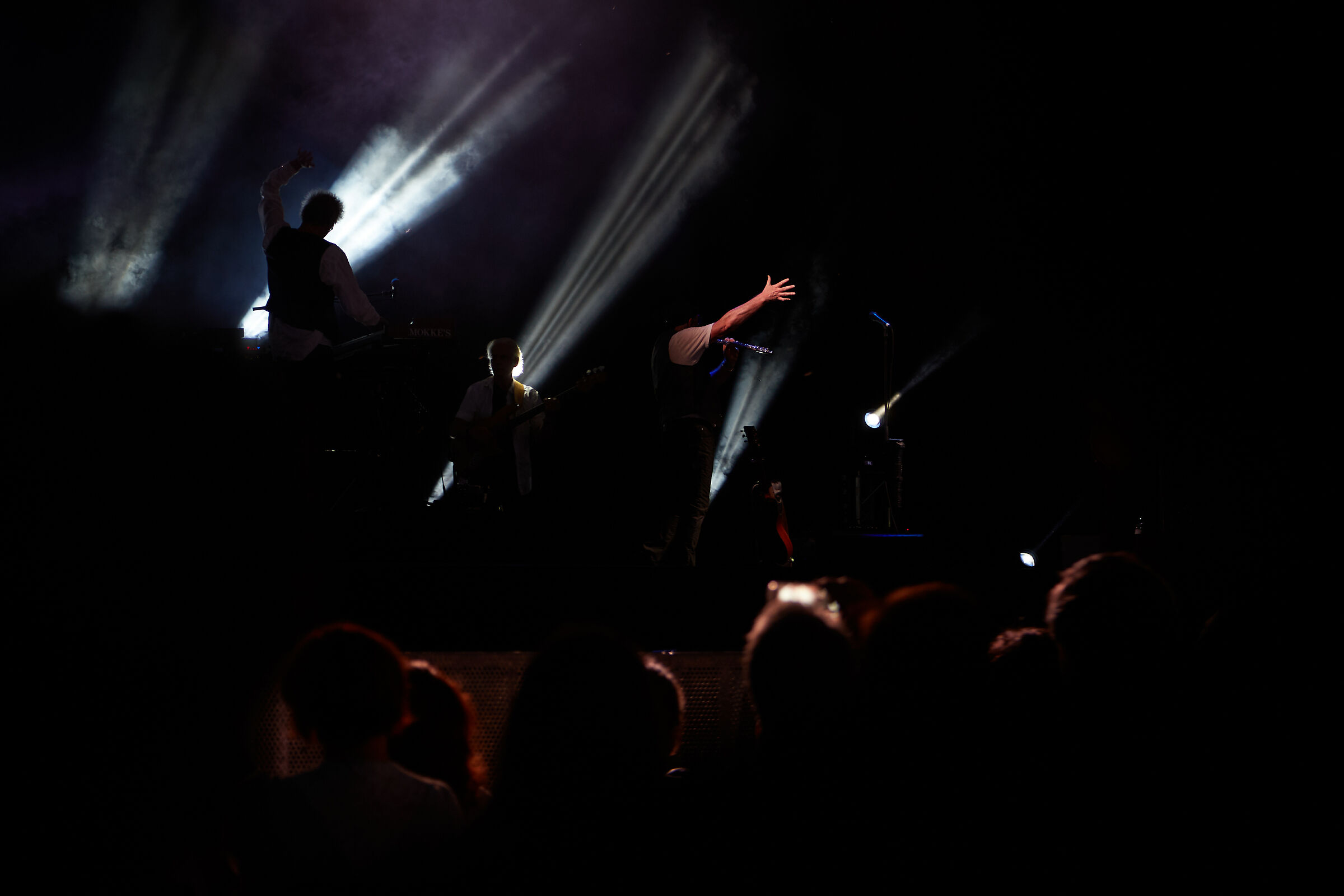 Jethro Tull Estate 2016#9