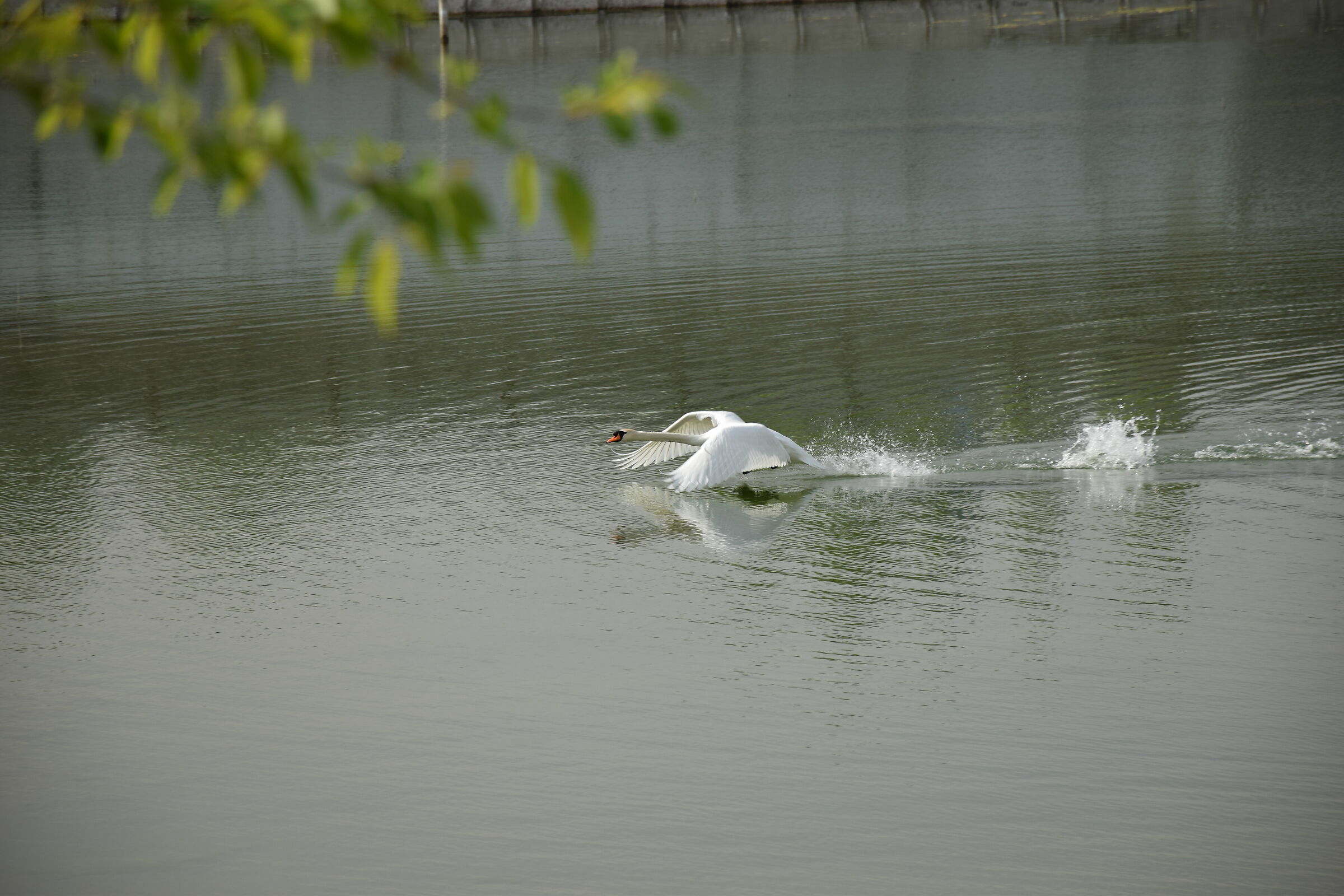 ok al decollo dalla torre di controllo