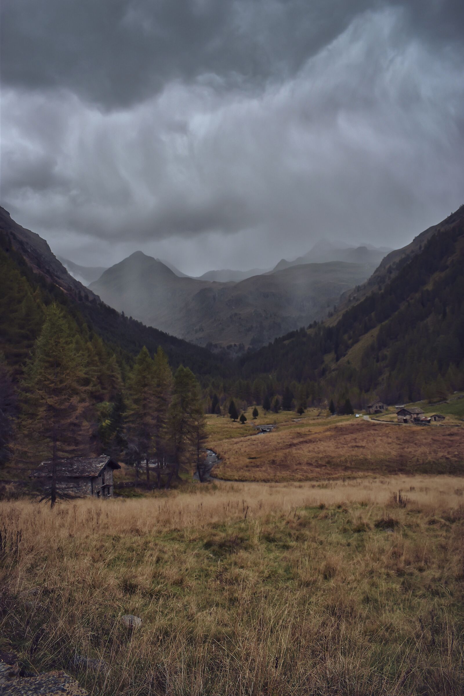 Parco Nazionale Dello Stelvio