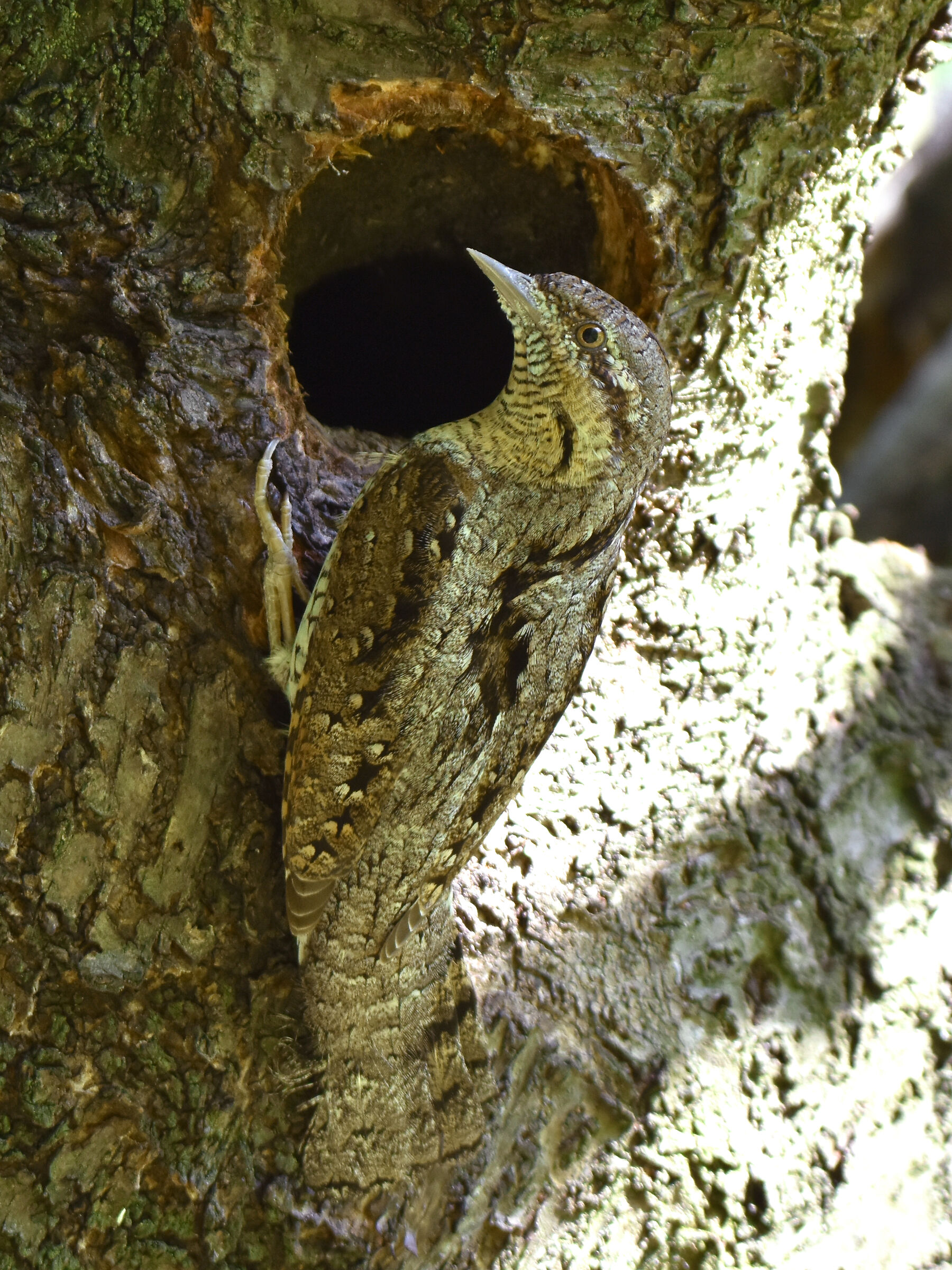 uno sguardo in casa degli altri