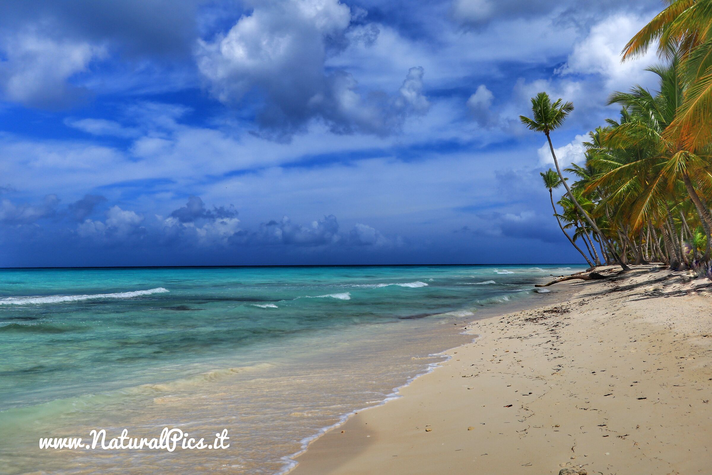#caribe