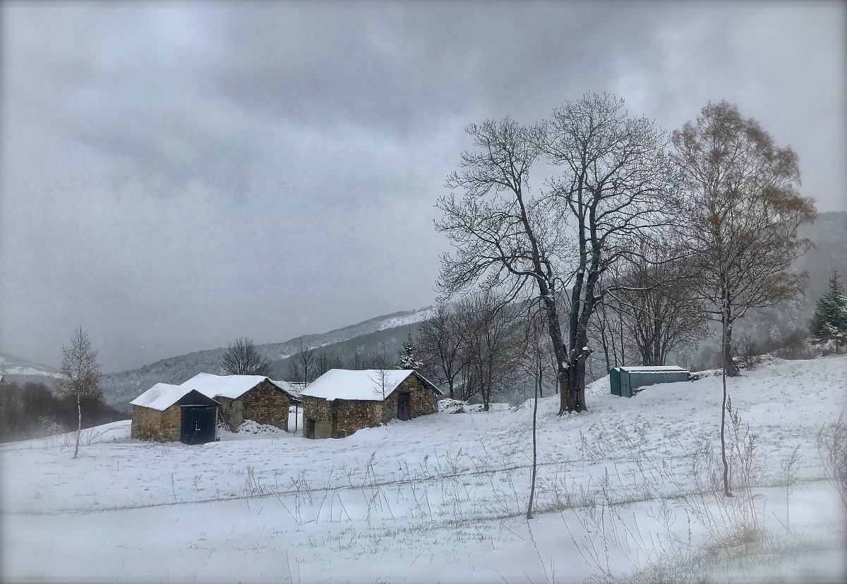 Panice Soprana_5 May