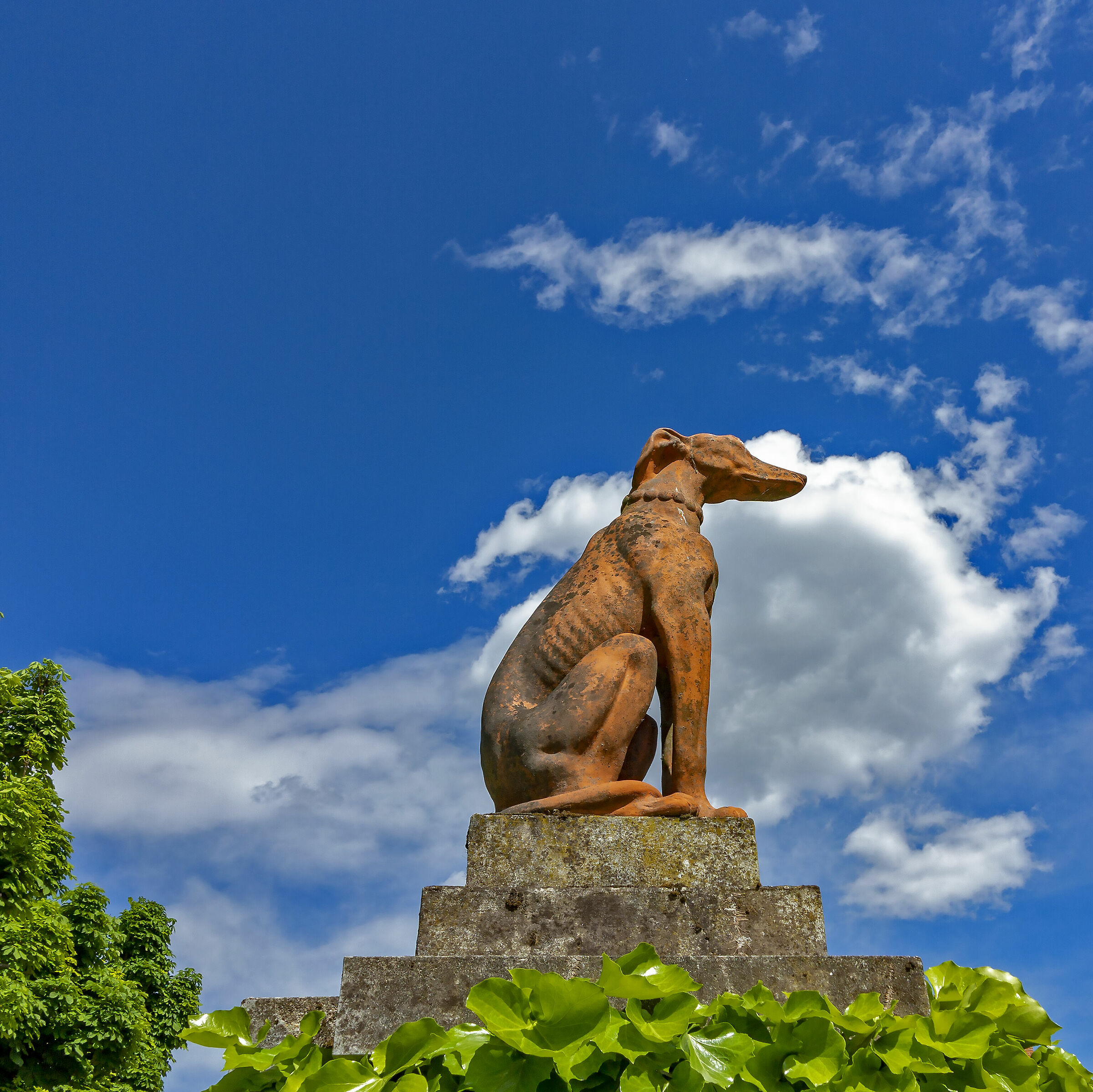 Fatemi scendere!!!!!!!!!!!!!!!!