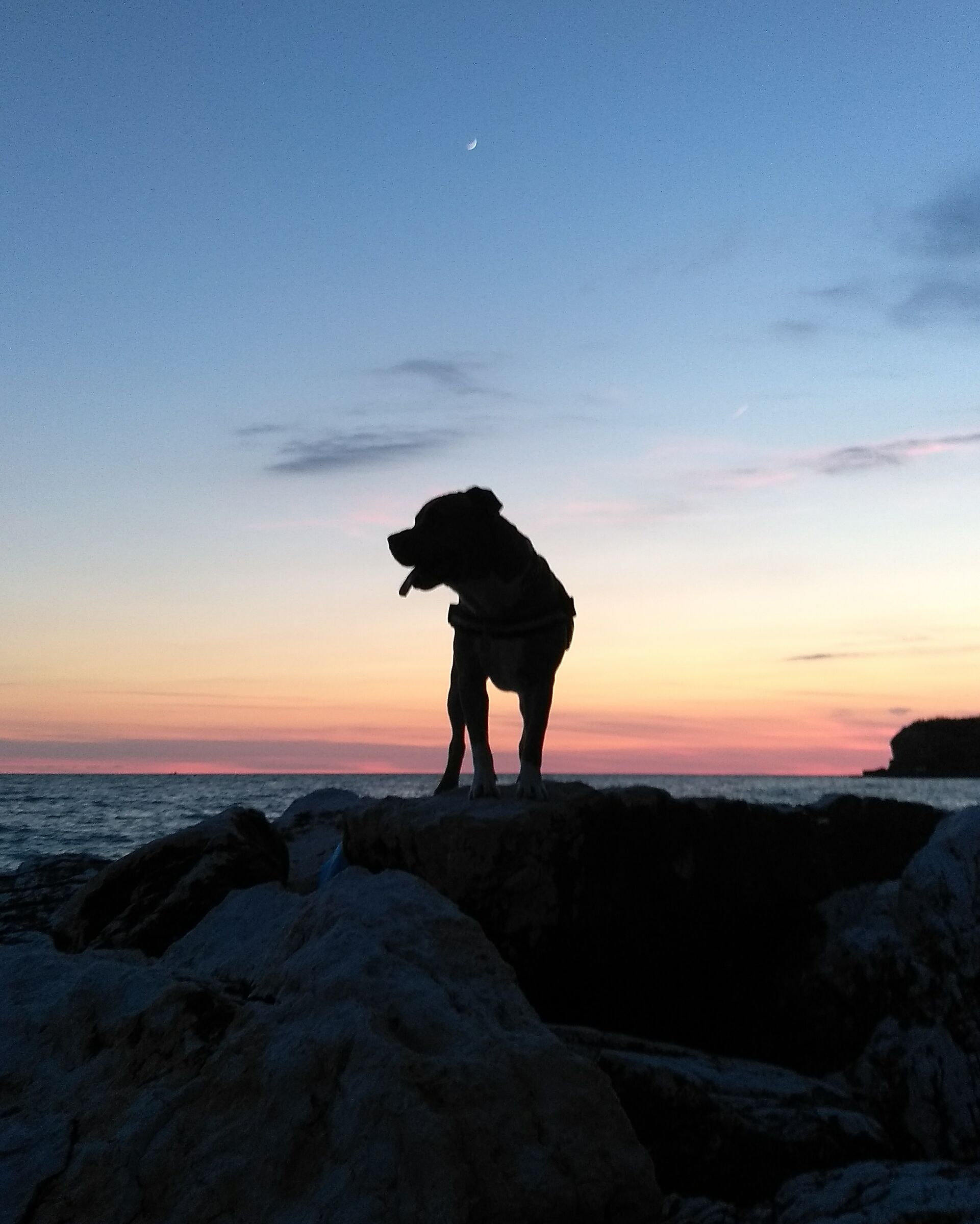 Everything you need.