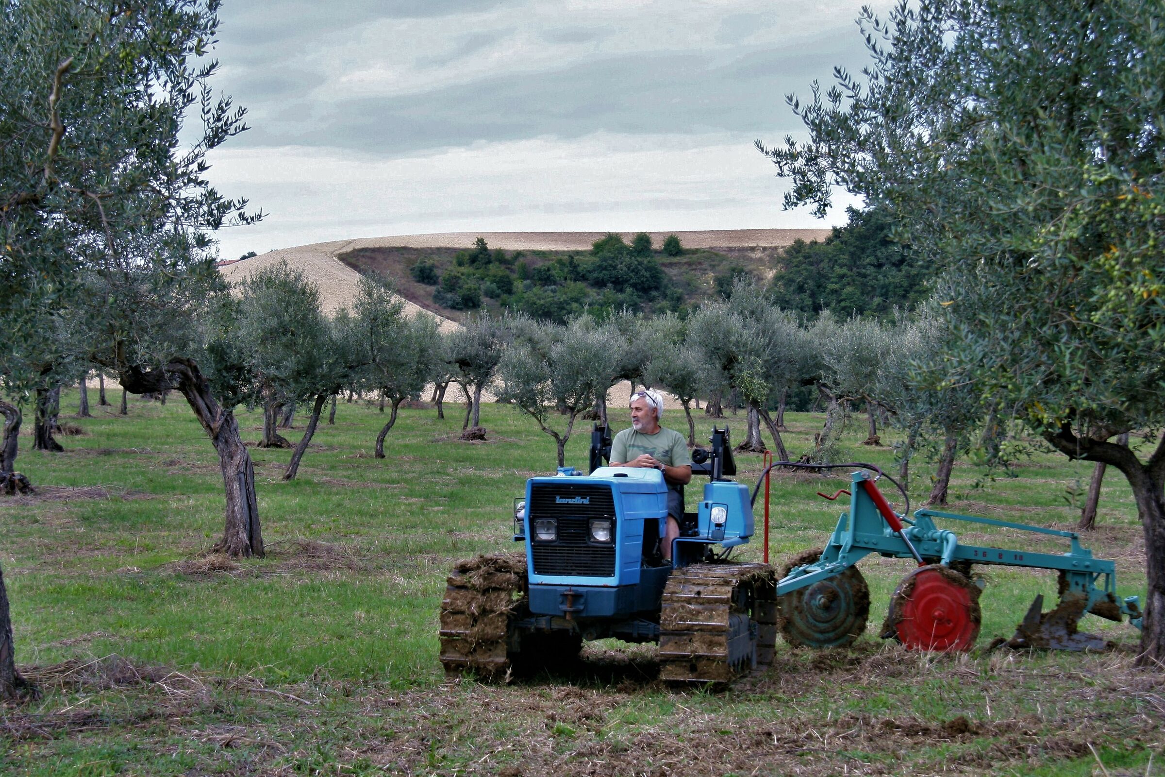 Landini crawler Tractor