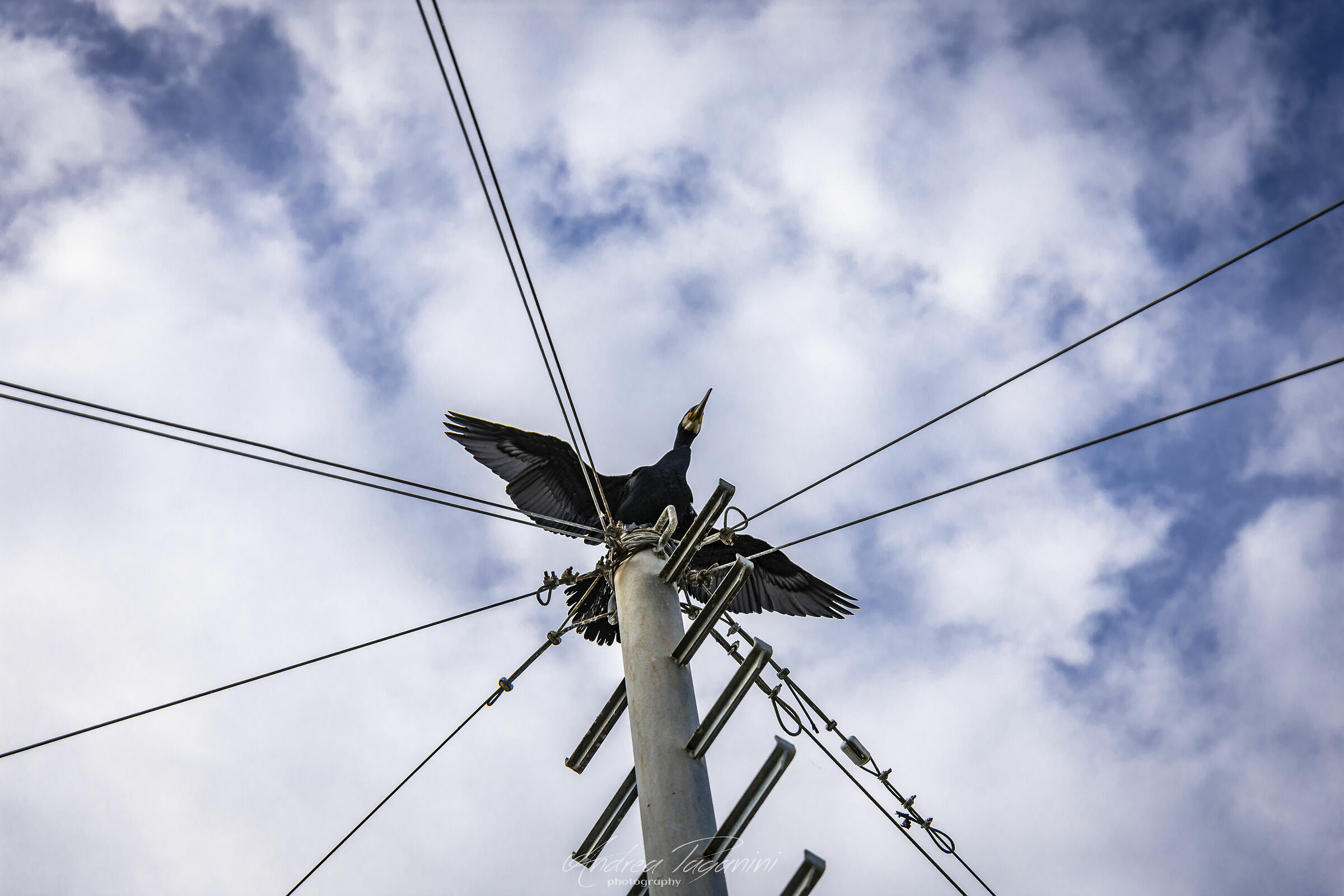 Steso, appena uscito dalla lavatrice