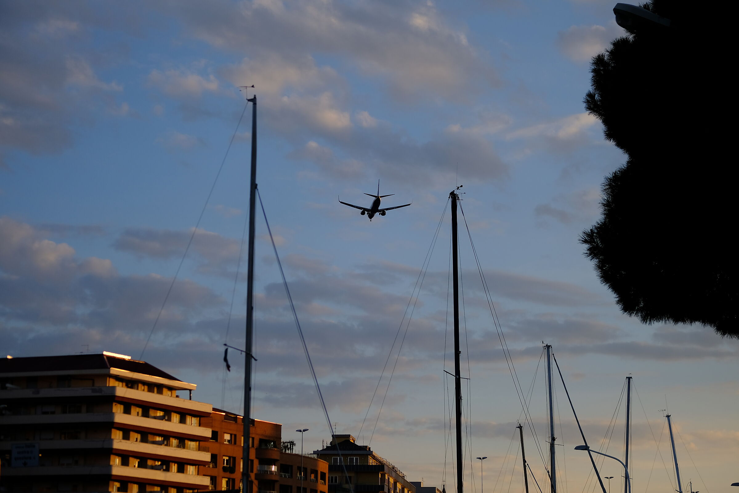 Untitled Photo