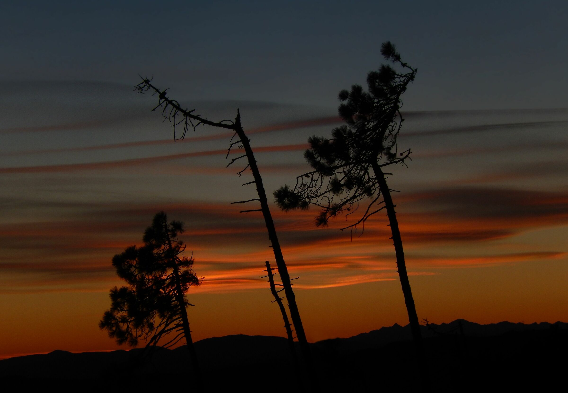 Ed io tra di voi ...