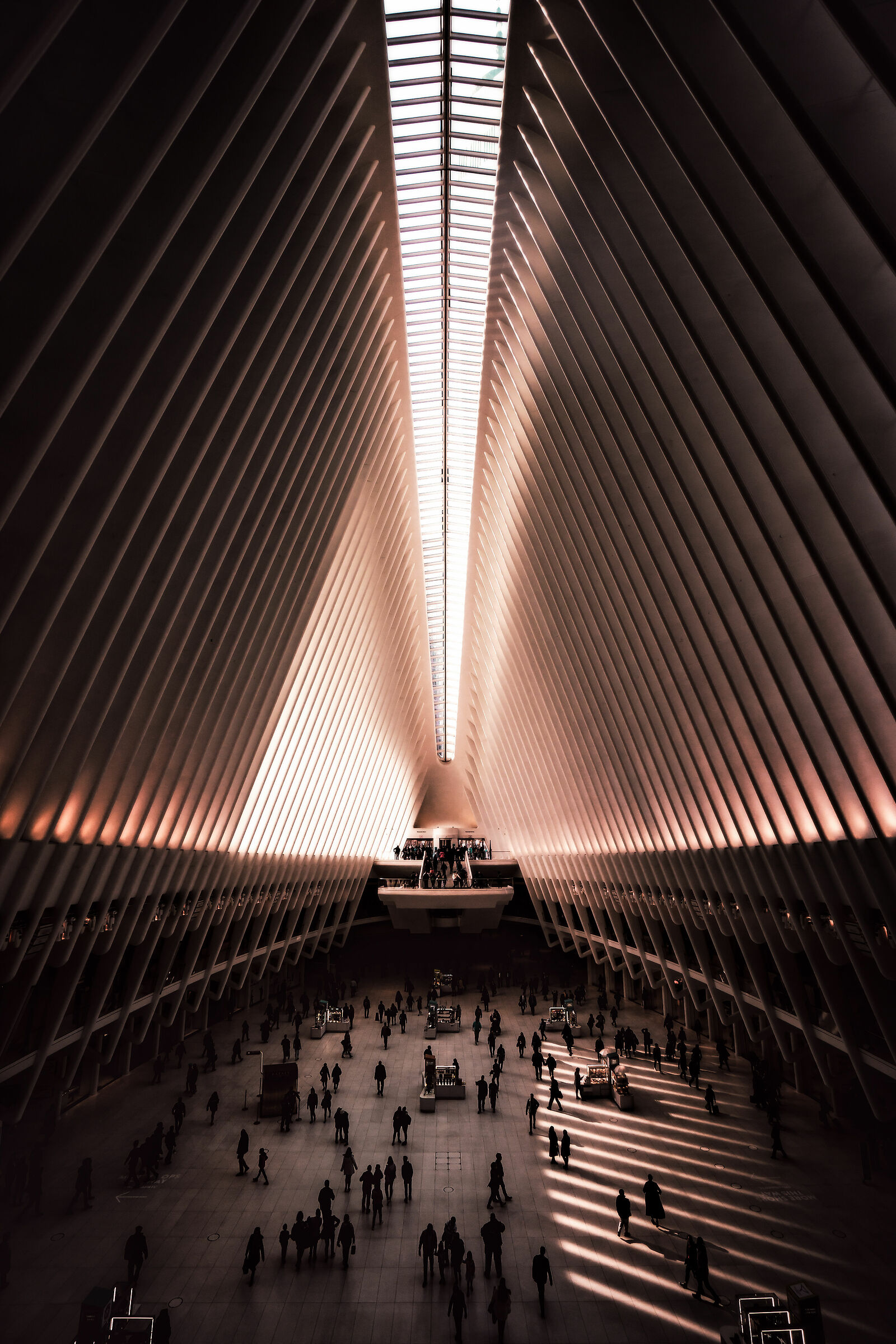 Golden Hour all'Oculus di Calatrava