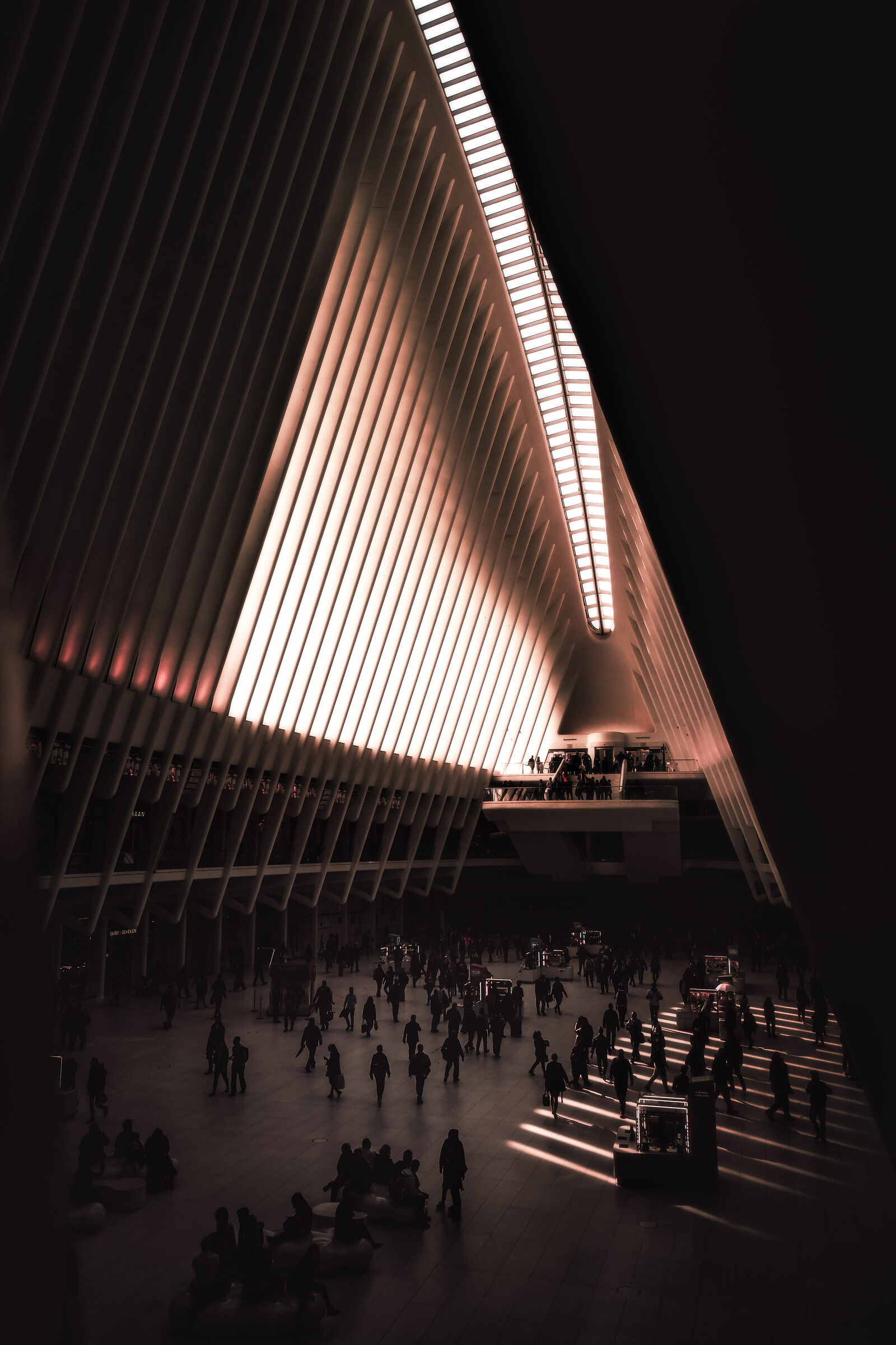 Golden Hour all'Oculus di Calatrava pt2