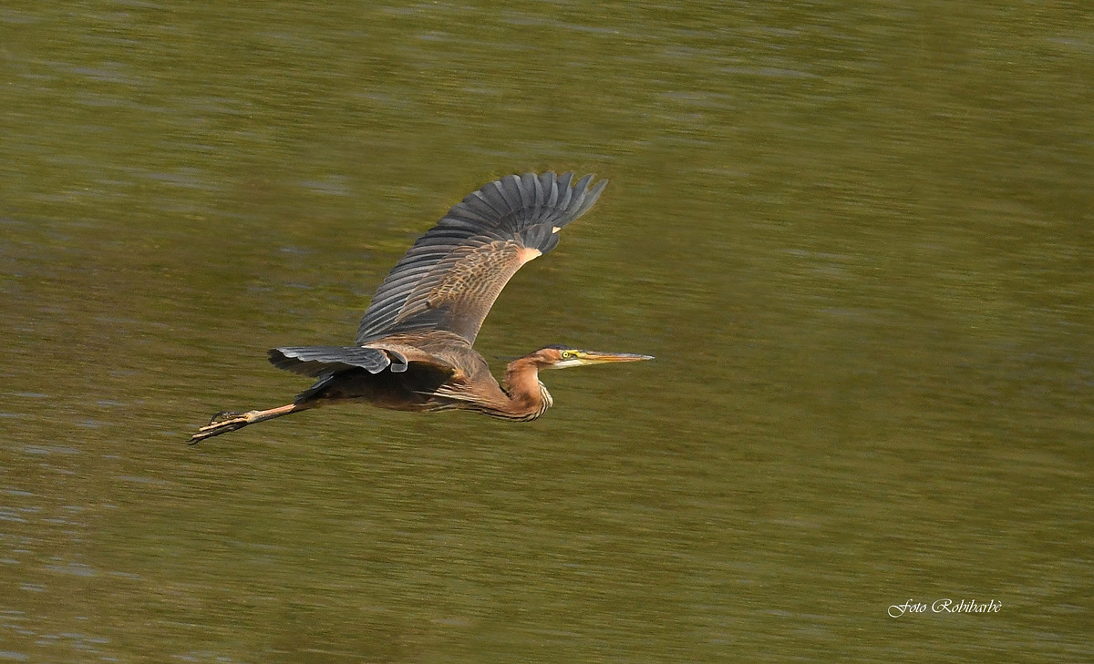 The red... In flight...