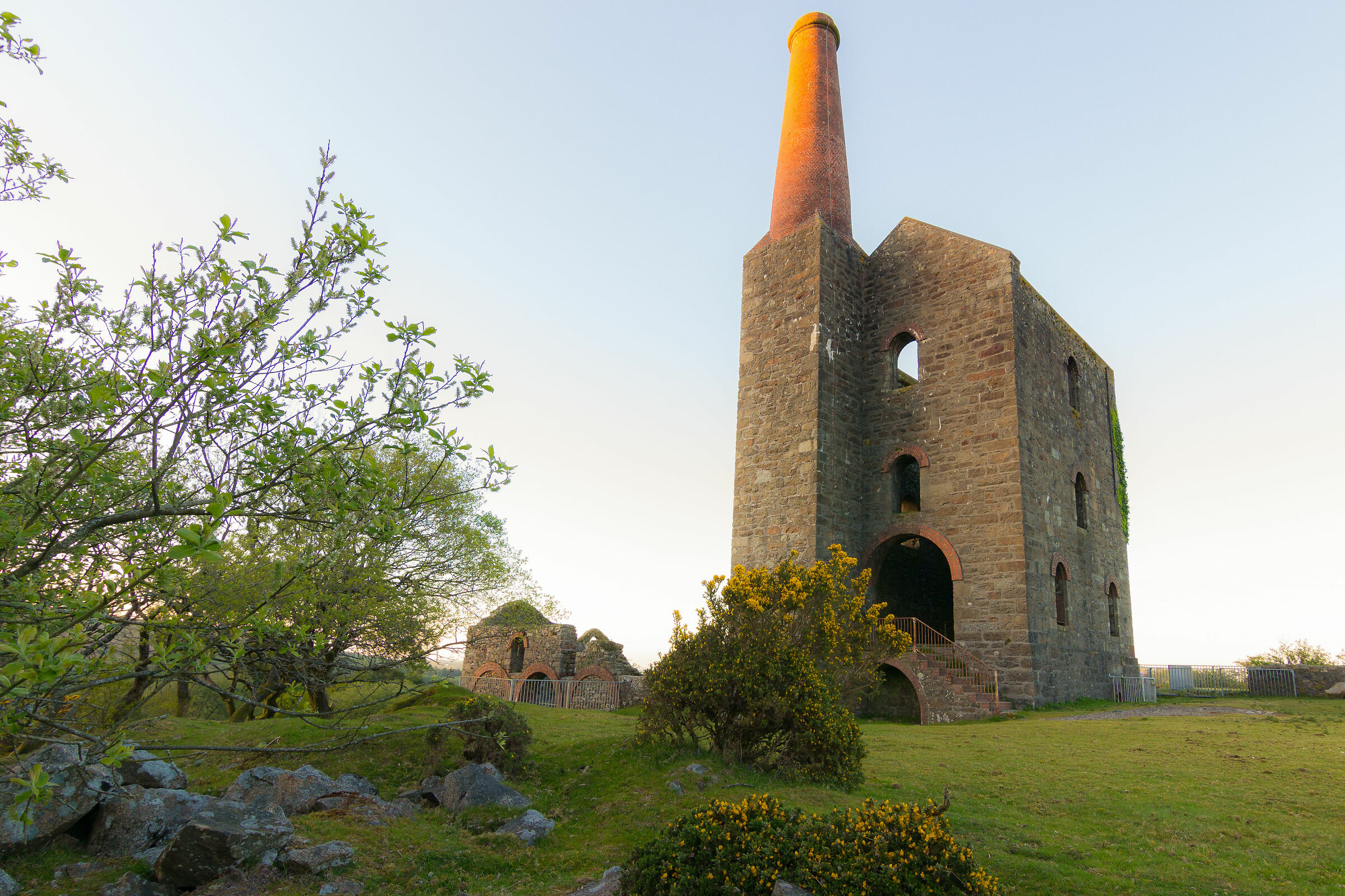 La Casa del Motore Affamata ha Voglia di Ginestra