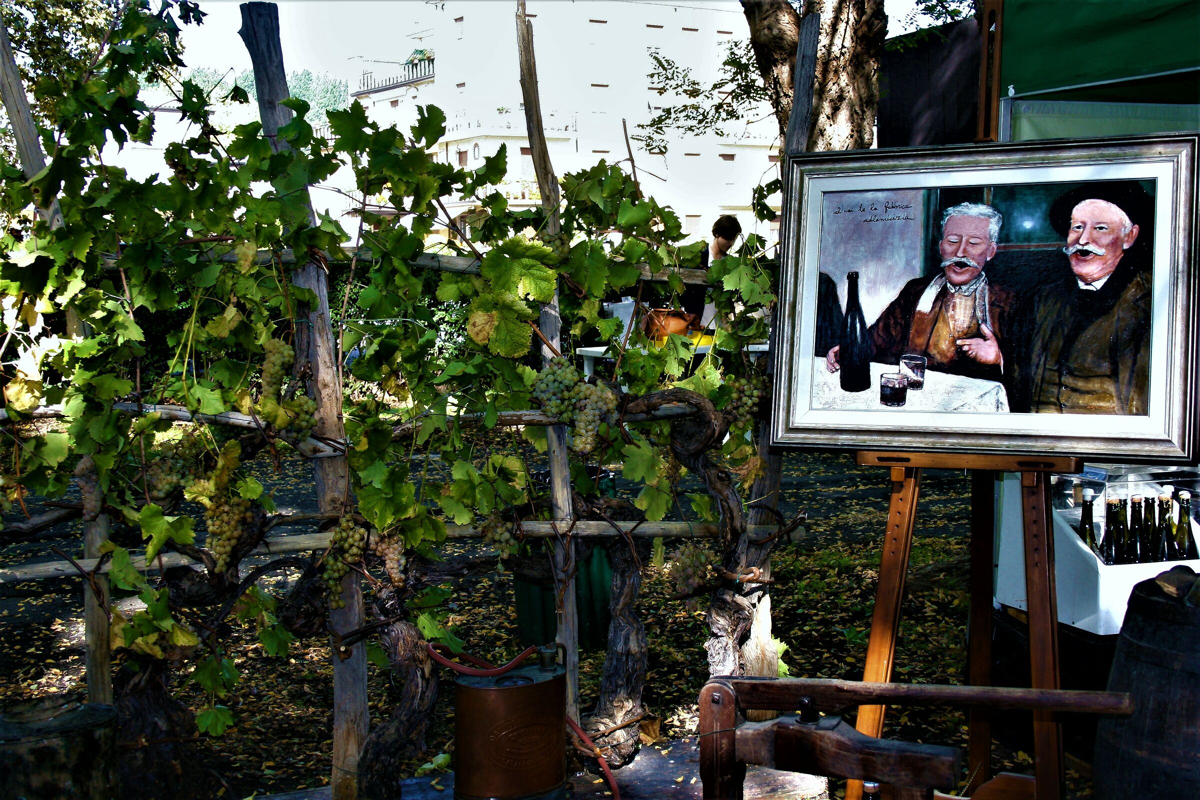 From the bunch to the glass