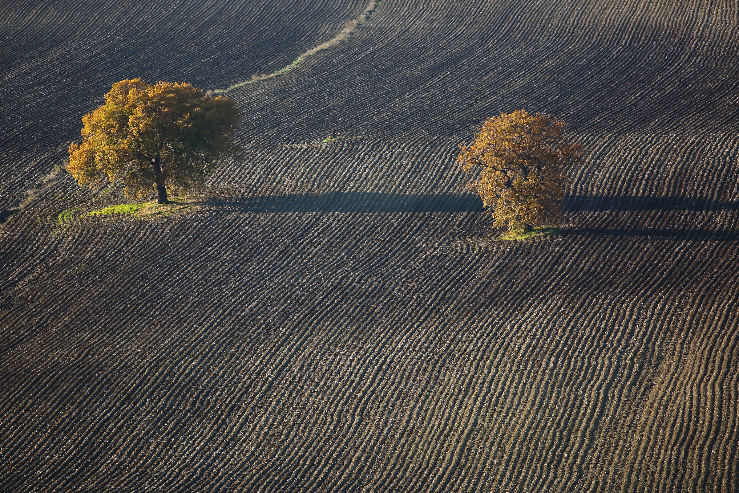 Stare sulla stessa lunghezza d'ombra....