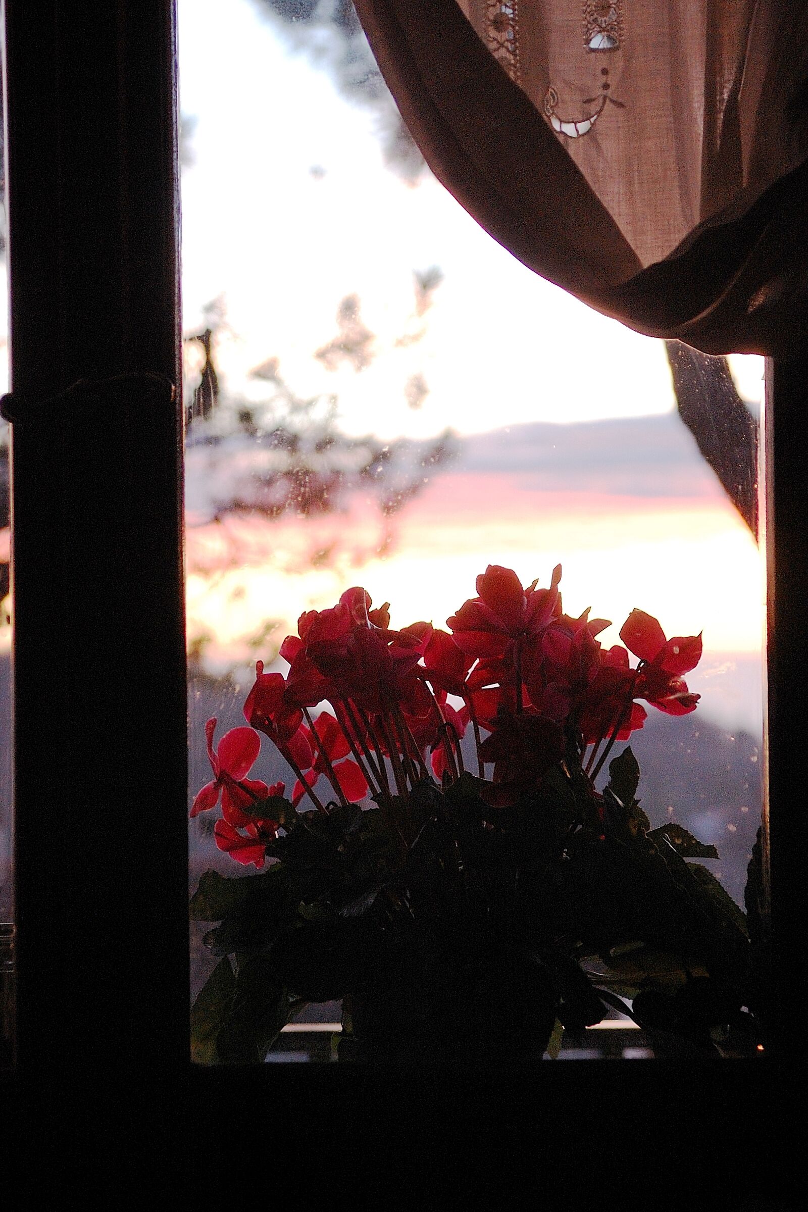 window of my house...