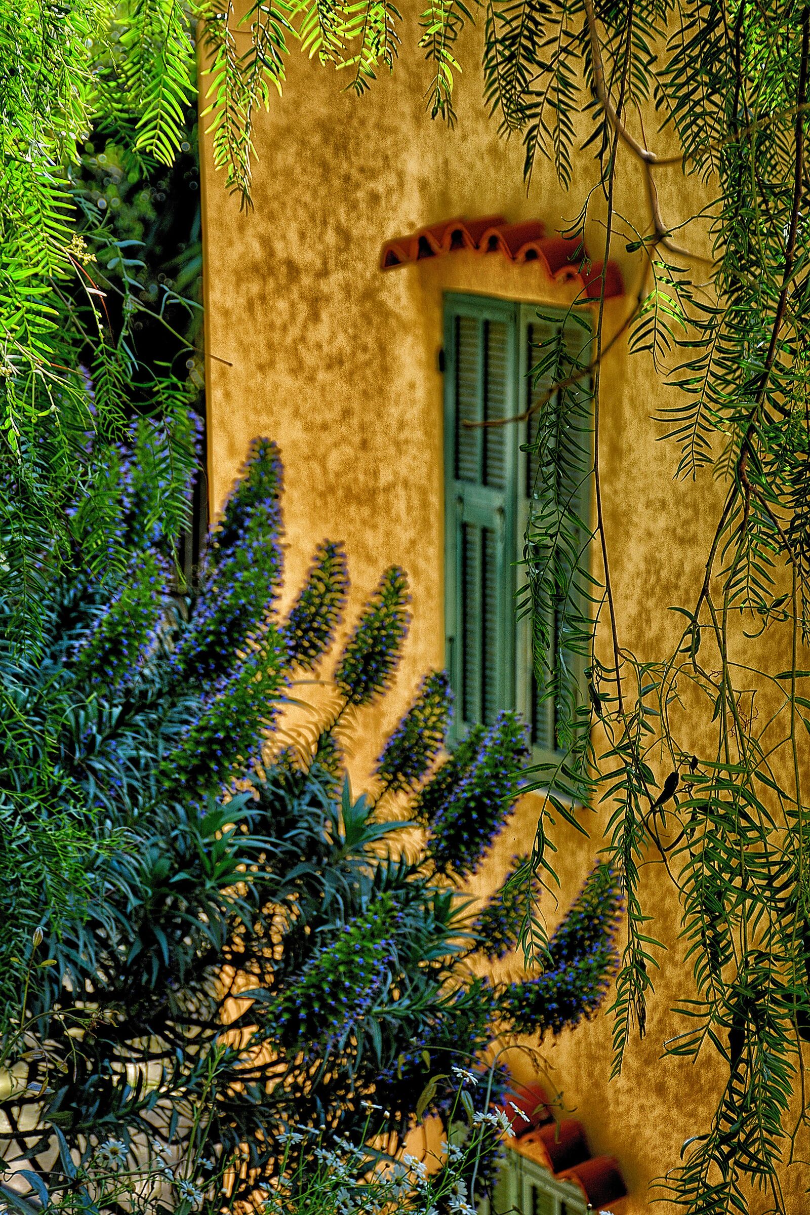 At Villa Hanbury-Imperia