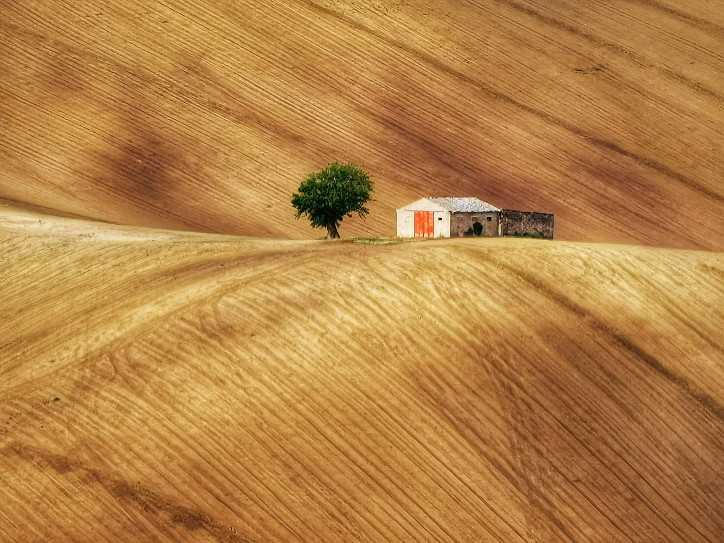 Huawei P30 Pro - Test 1