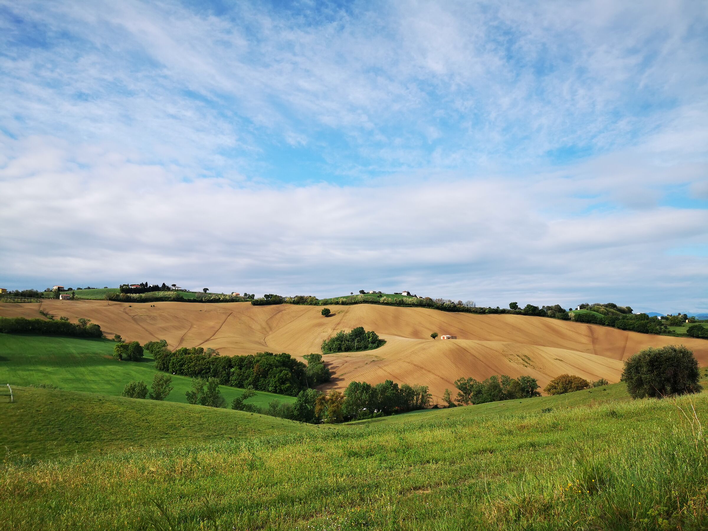 Huawei P30 Pro-Test 2