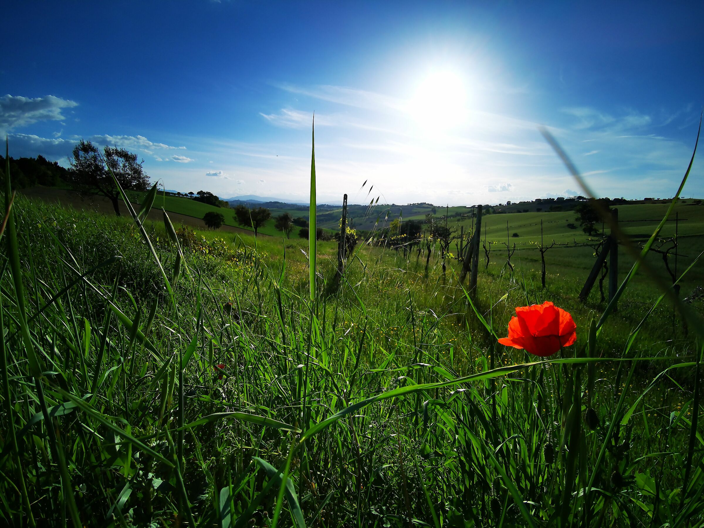 Huawei P30 Pro-Test 3